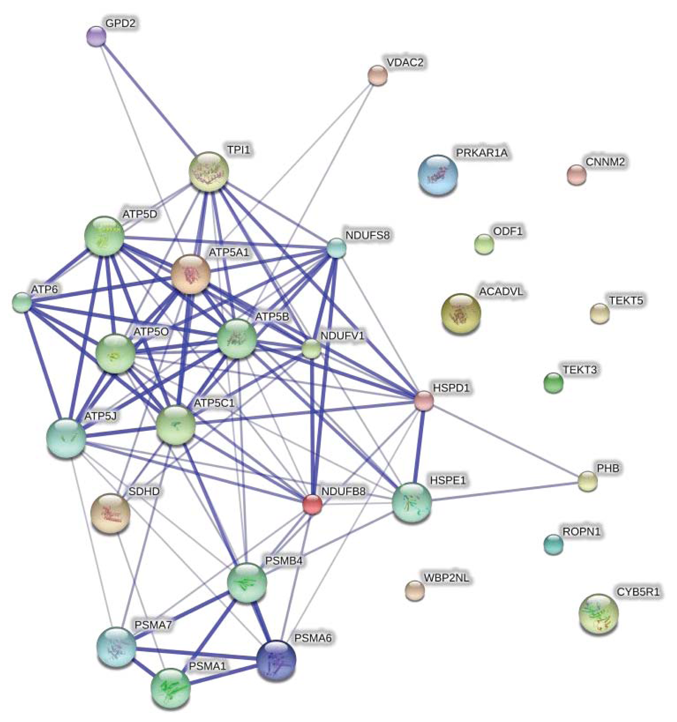 Ijms 14 15860f4 1024