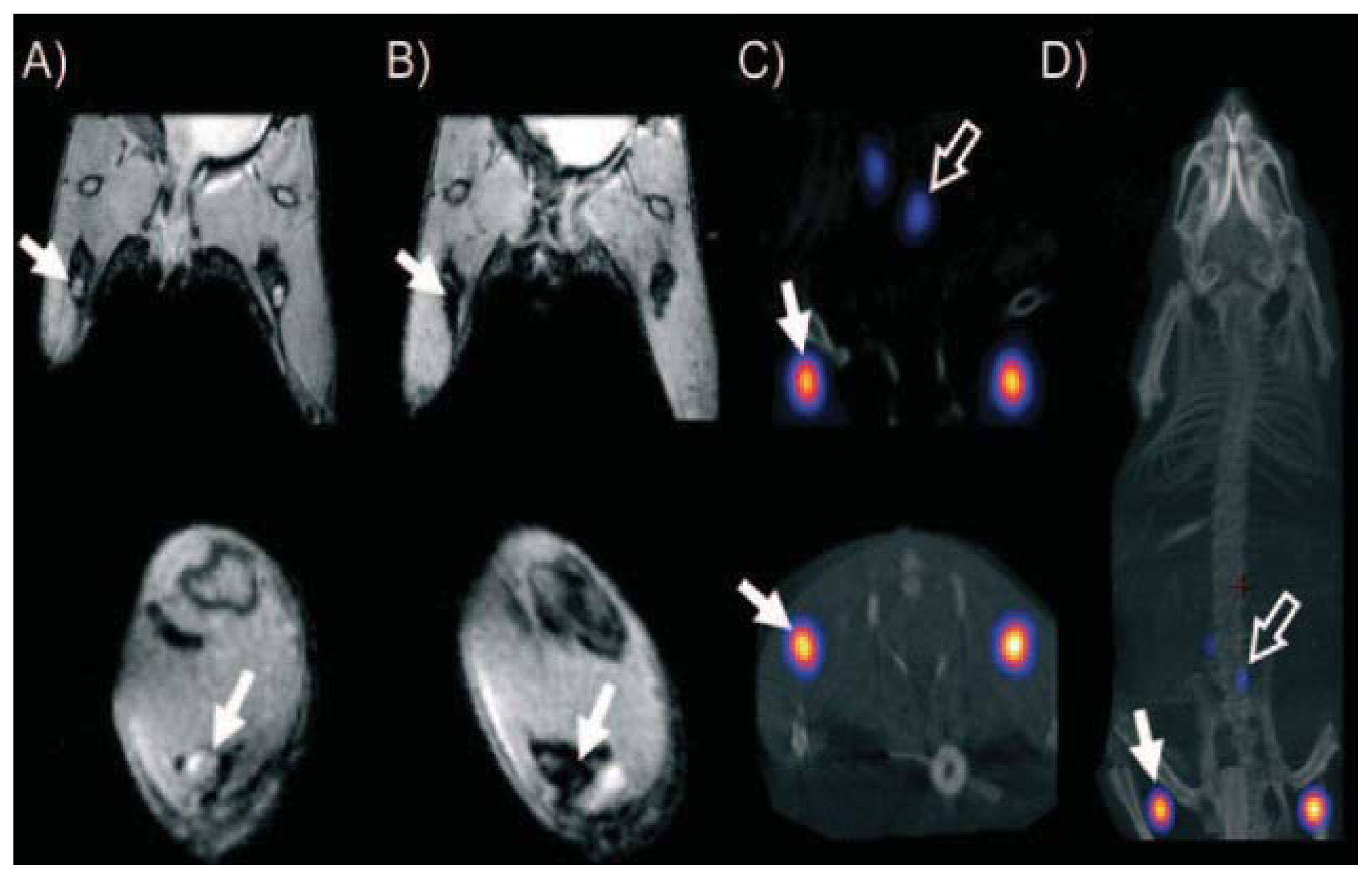 Ijms 14 15910f4 1024