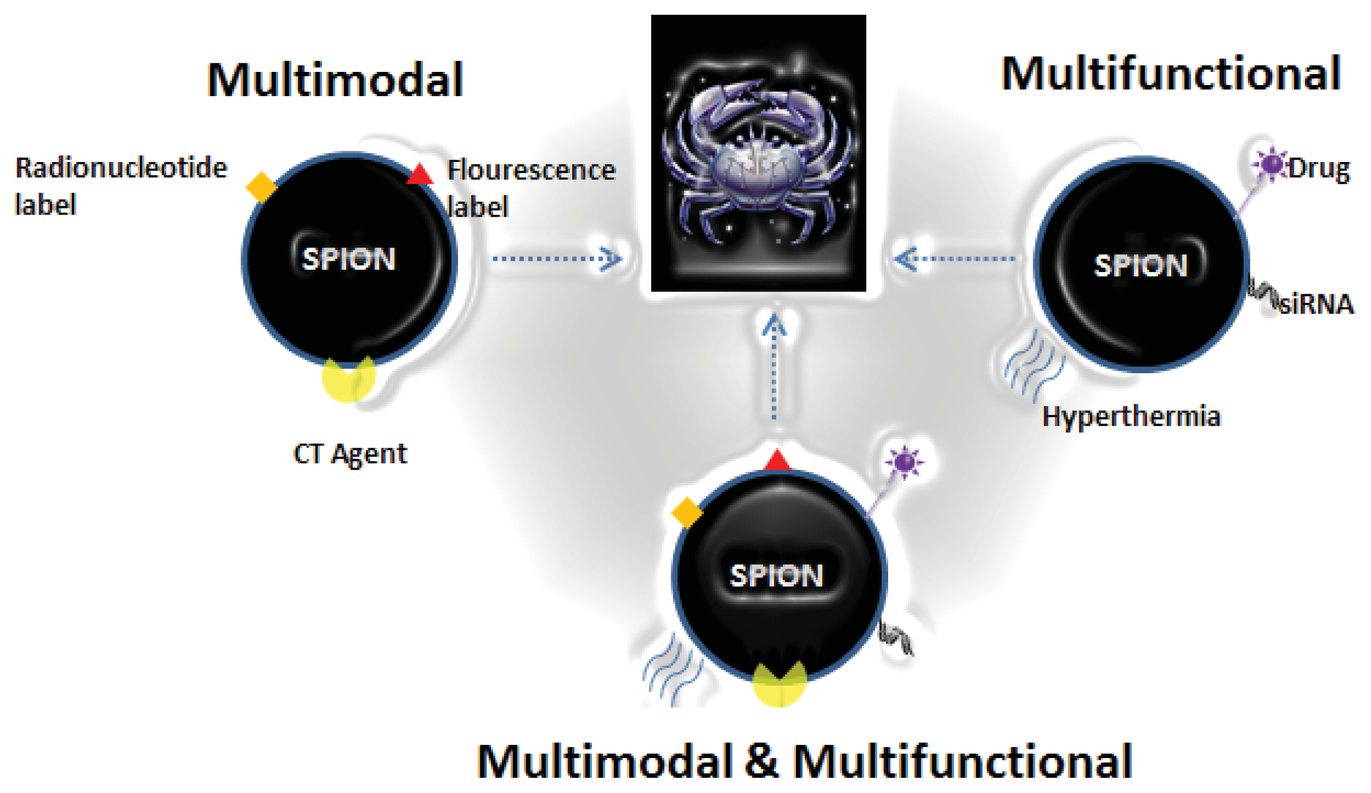 Ijms 14 15910f6 1024