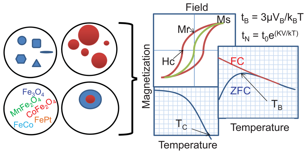 kritiker bomuld Betydning IJMS | Free Full-Text | Tuning the Magnetic Properties of Nanoparticles