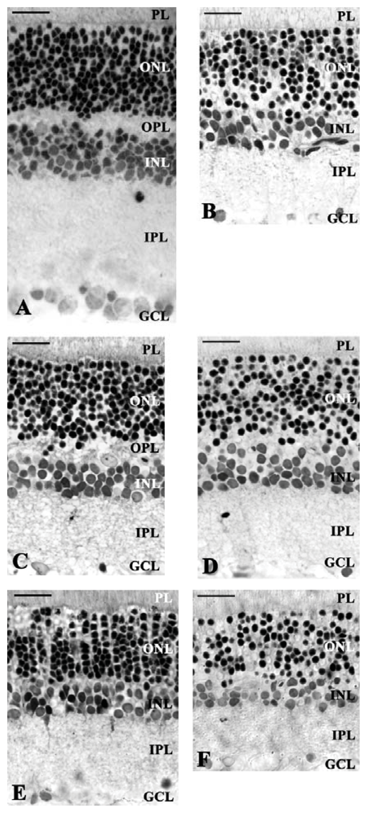 Ijms 14 16111f1 1024