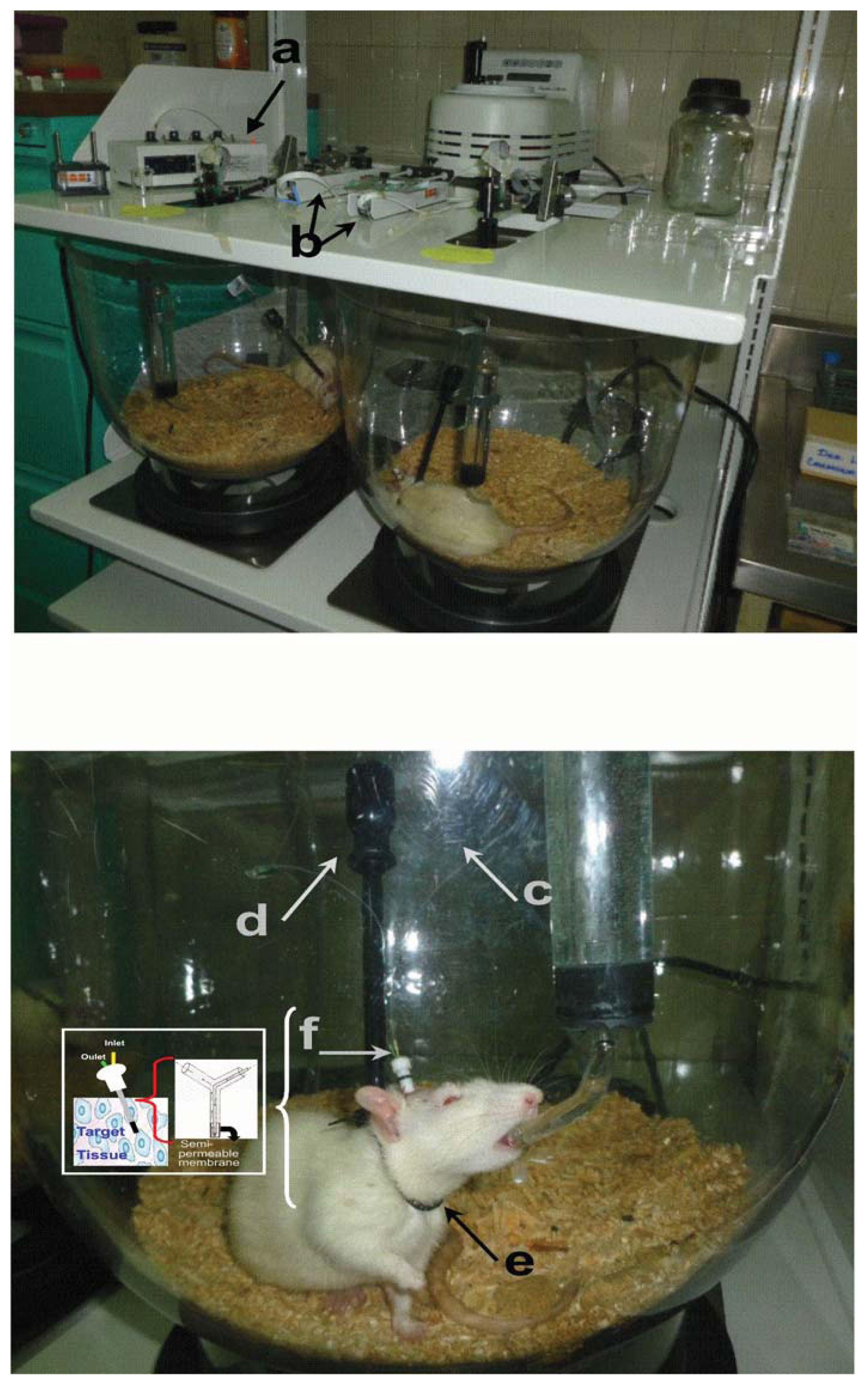 Ijms 14 16184f1 1024