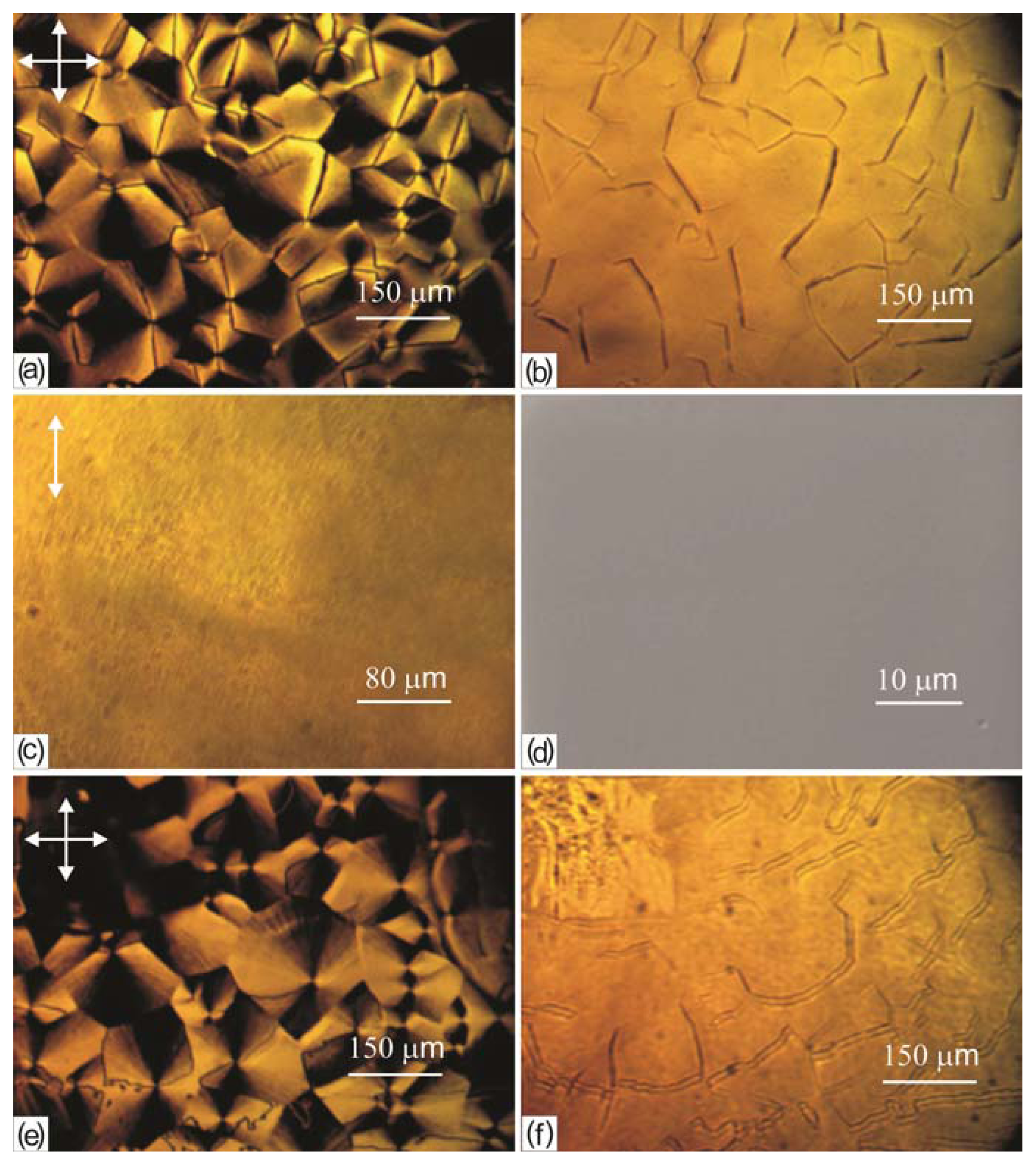 Ijms 14 16303f11 1024