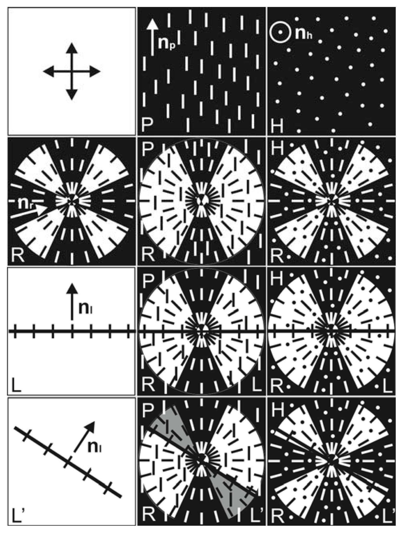Ijms 14 16303f14 1024