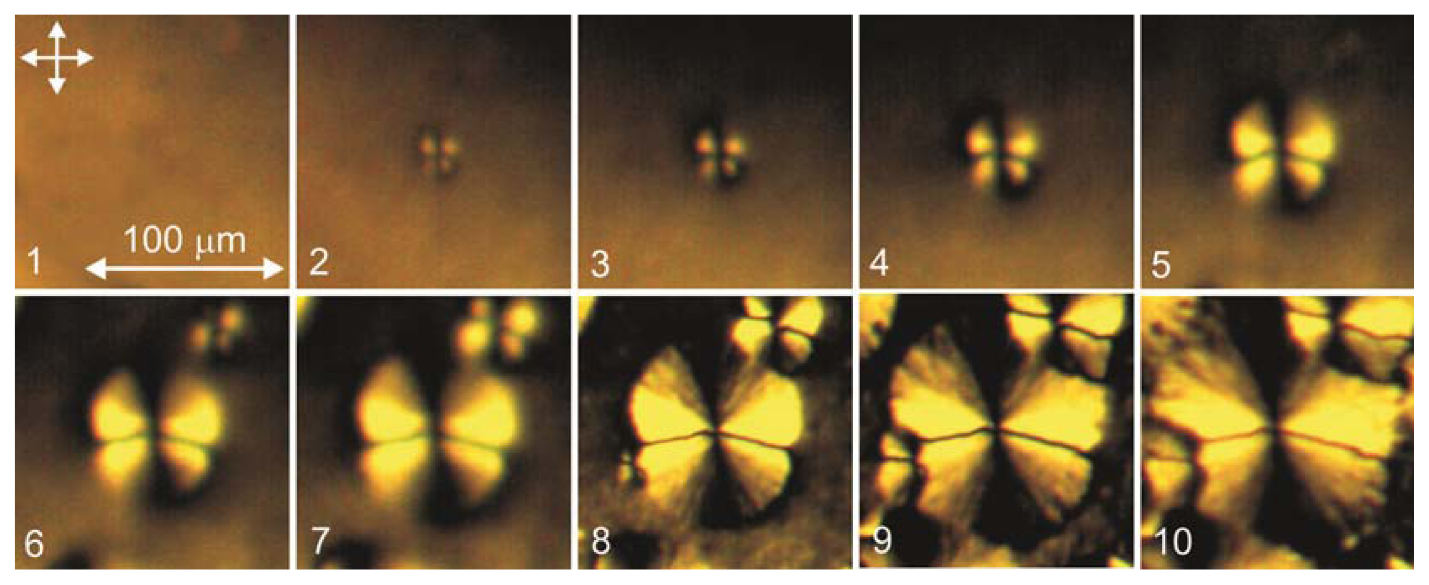 Ijms 14 16303f5 1024