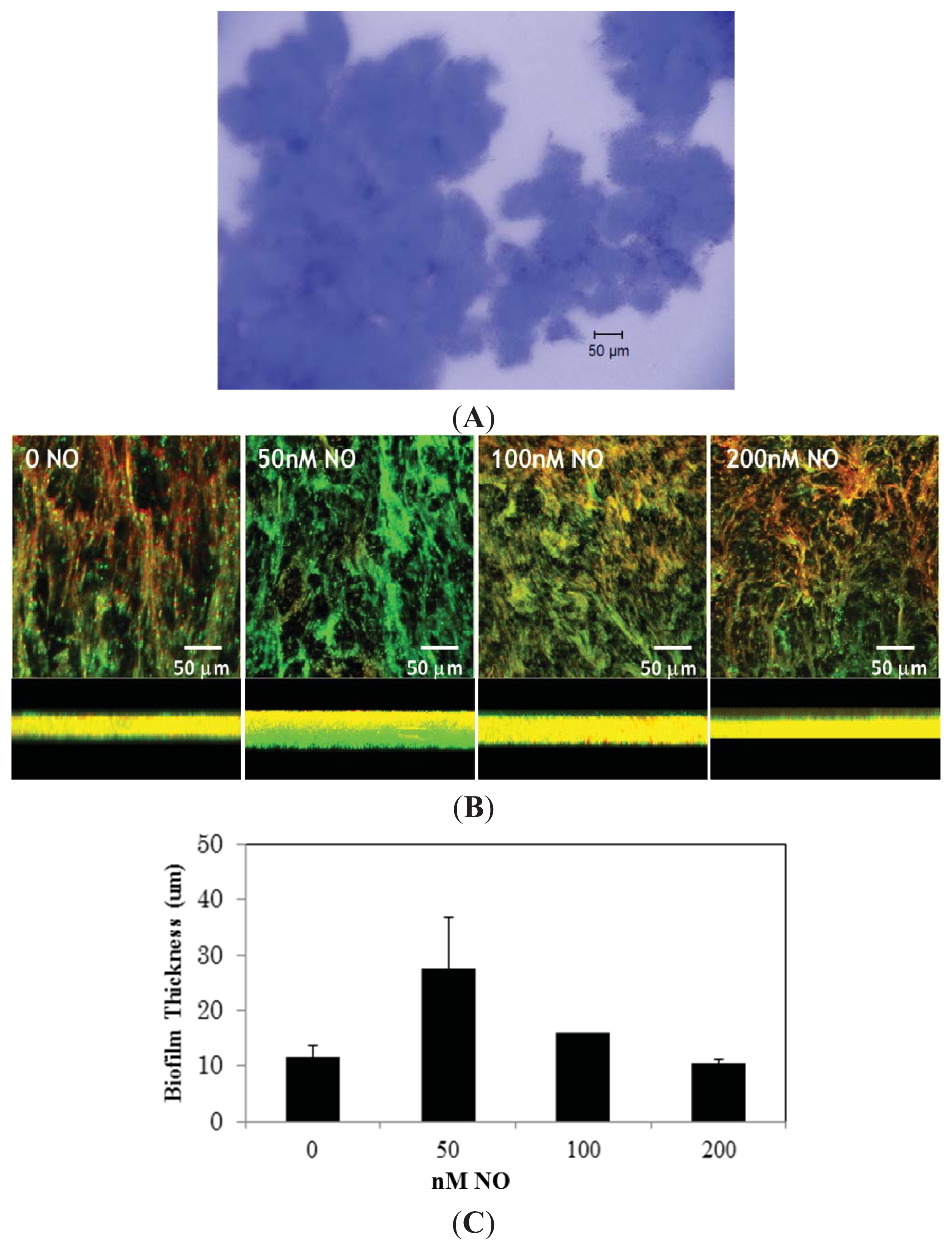 Ijms 14 16473f1 1024