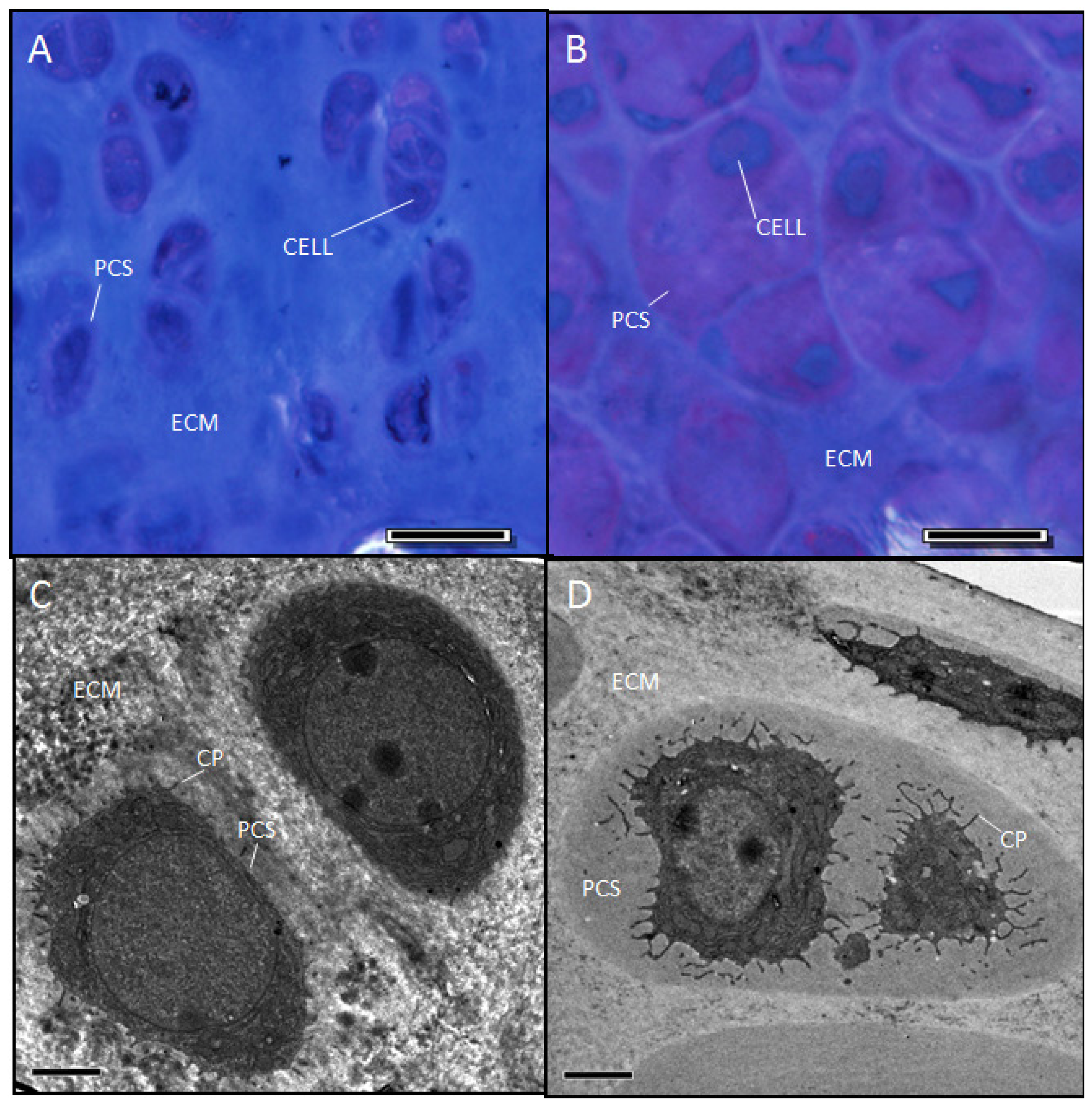 Ijms 14 16515f6 1024