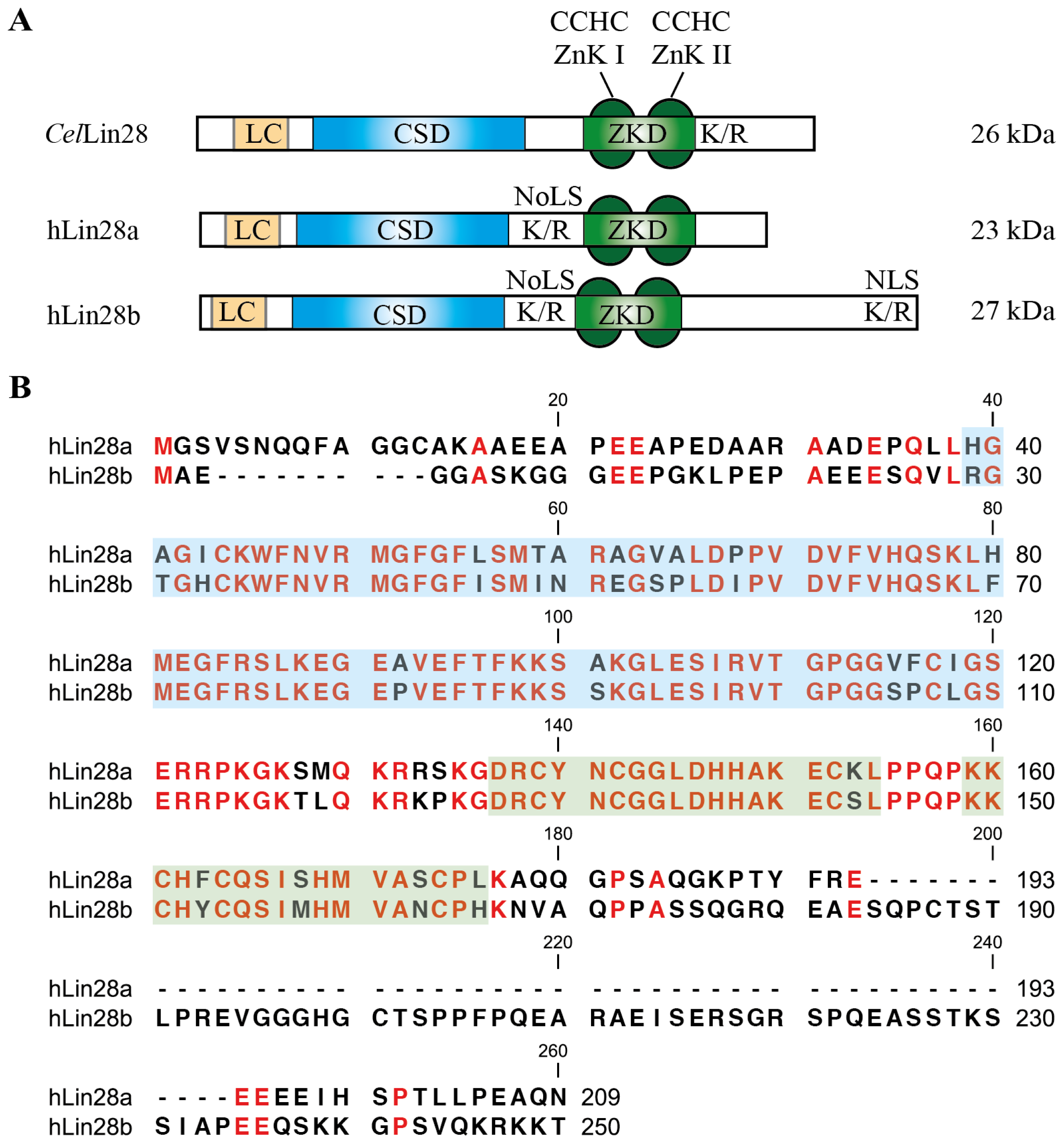 Ijms 14 16532f1 1024