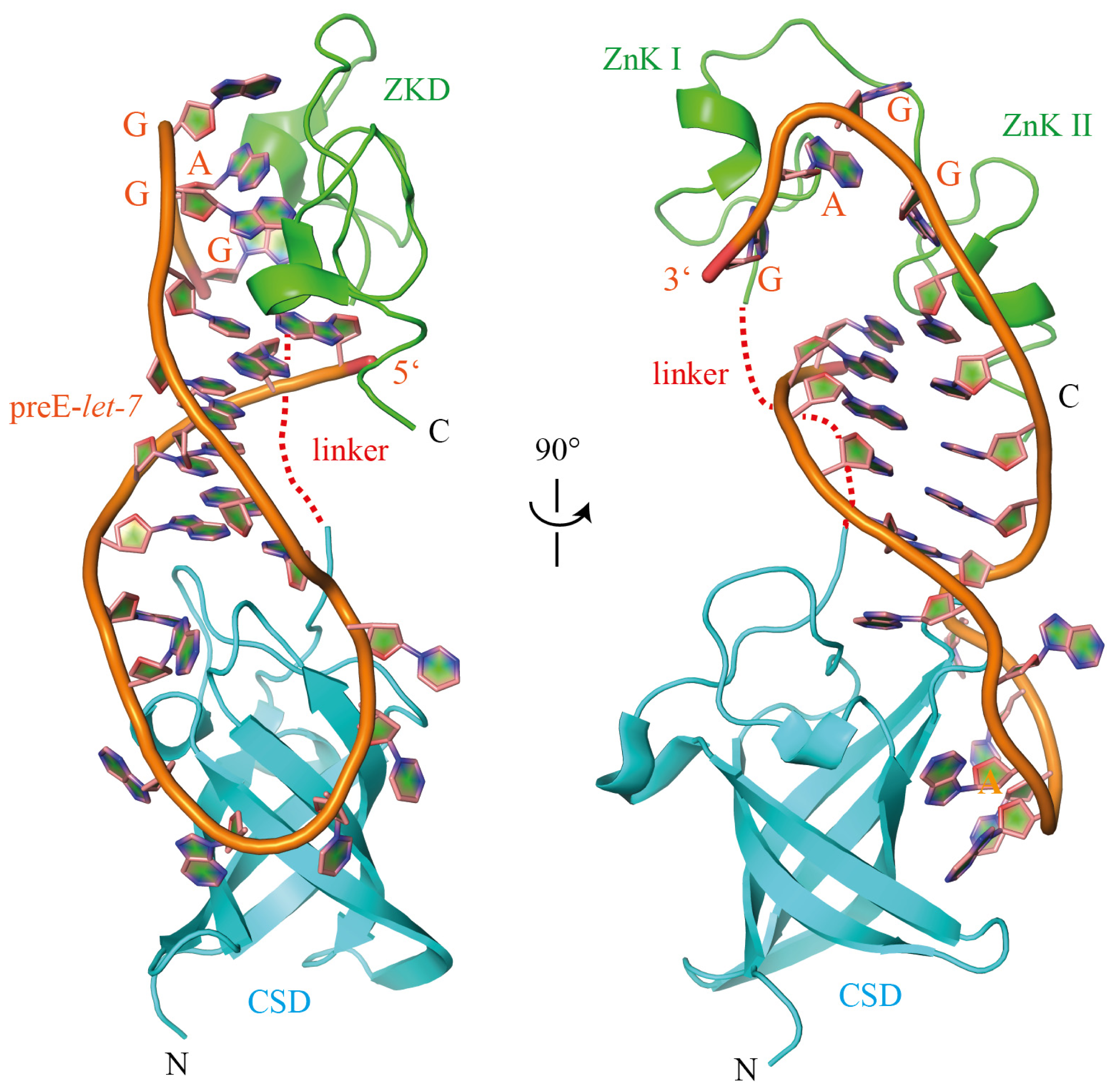 Ijms 14 16532f4 1024