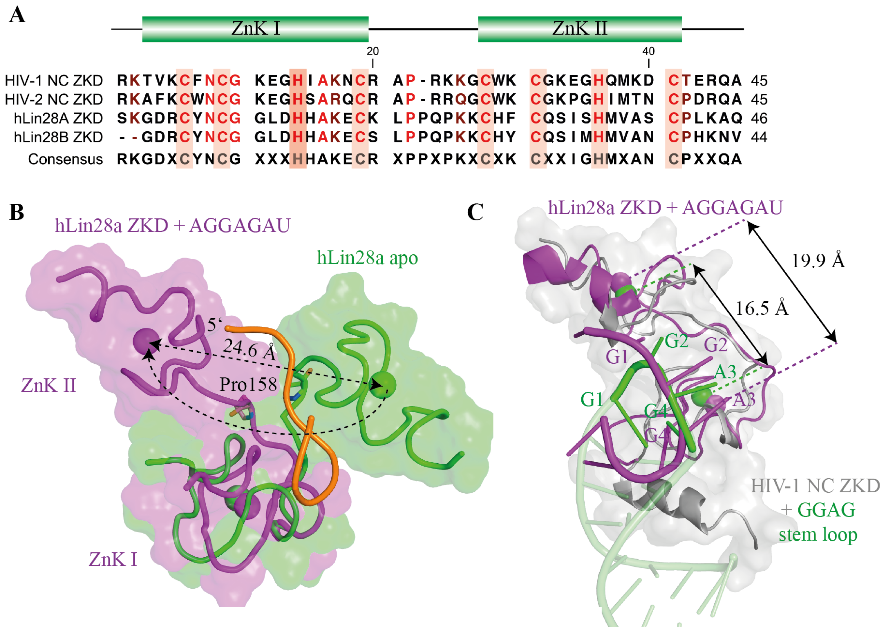 Ijms 14 16532f5a 1024