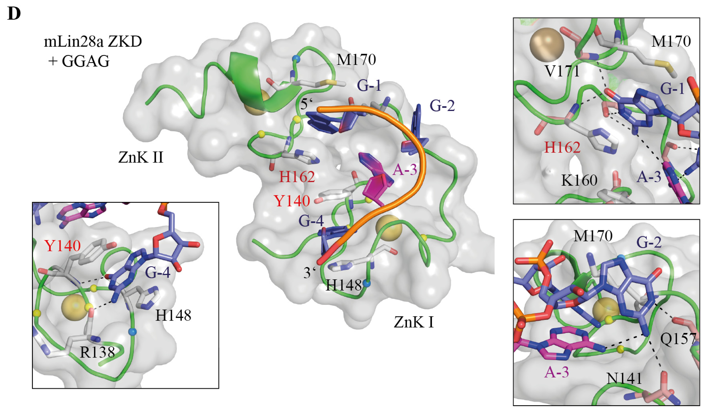 Ijms 14 16532f5b 1024