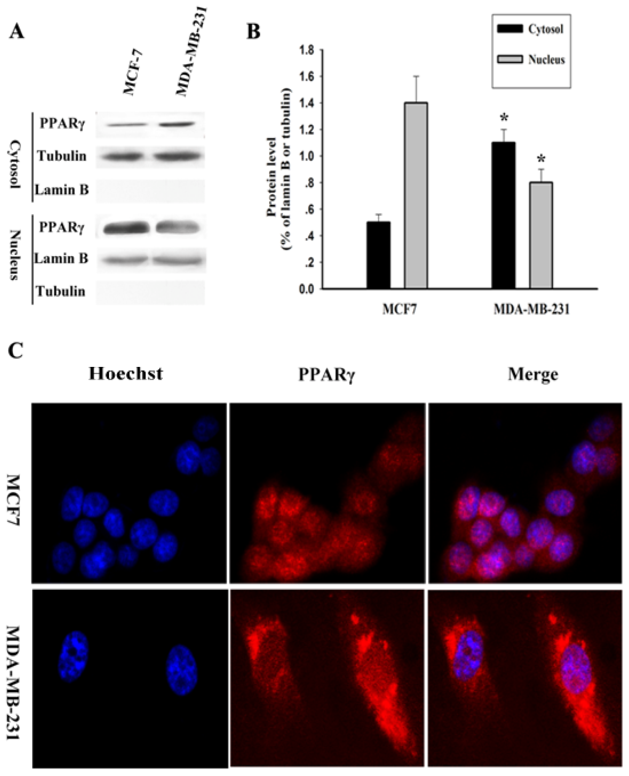 Ijms 14 16554f2 1024