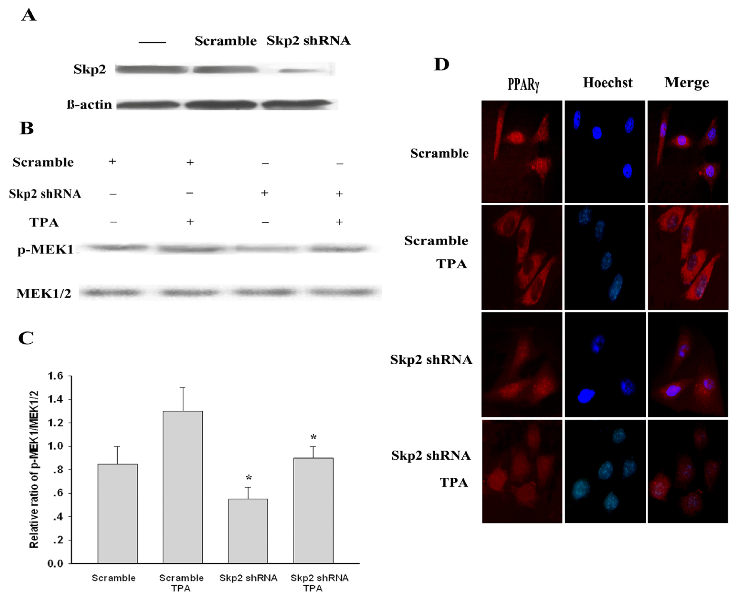 Ijms 14 16554f5 1024