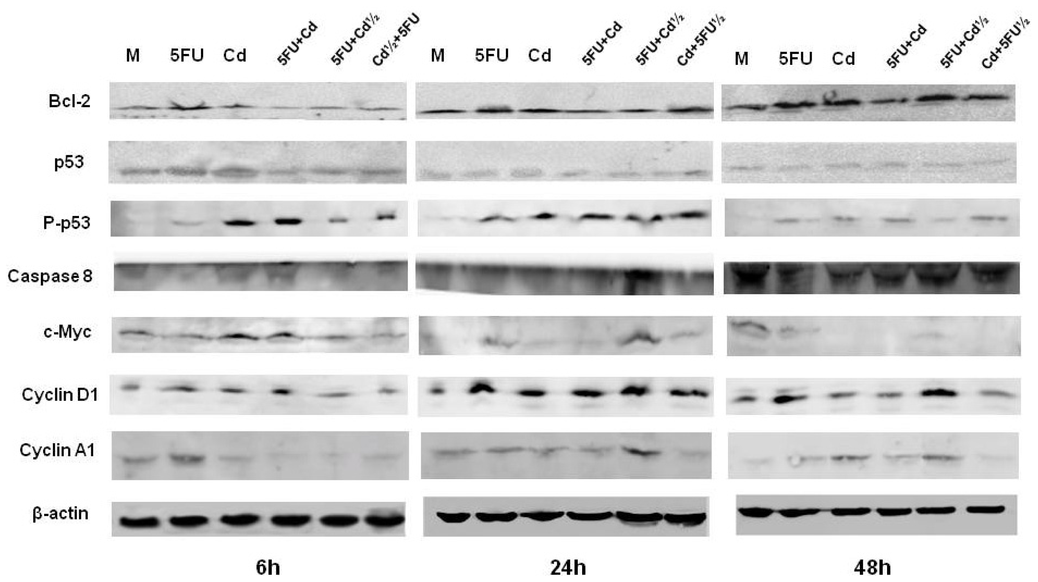 Ijms 14 16600f3