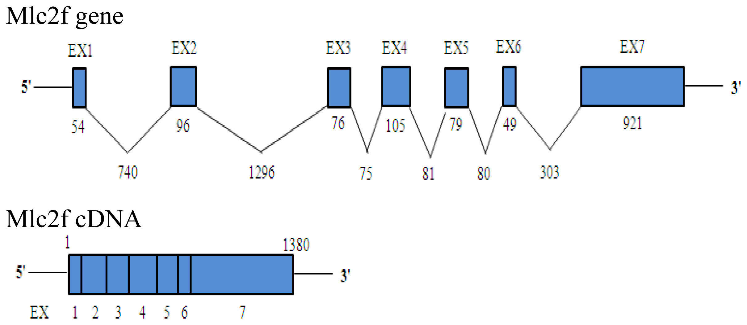 Ijms 14 16672f2 1024