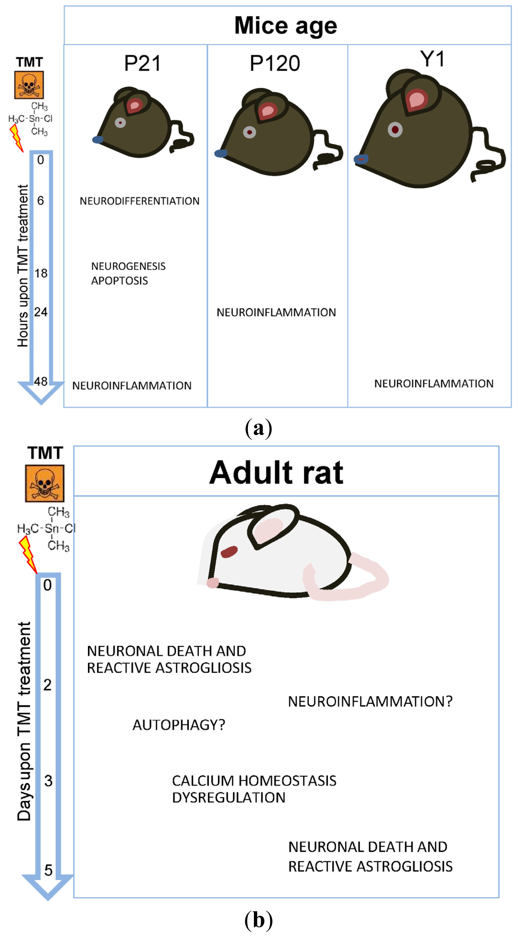 Ijms 14 16817f1a 1024