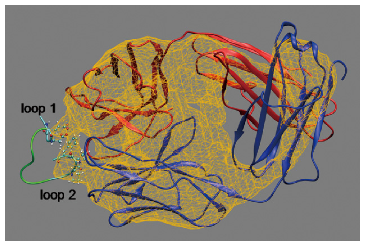 Ijms 14 16836f1 1024