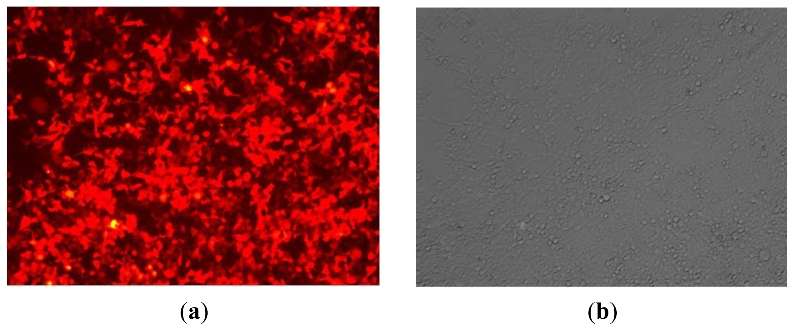 Ijms 14 16958f3 1024