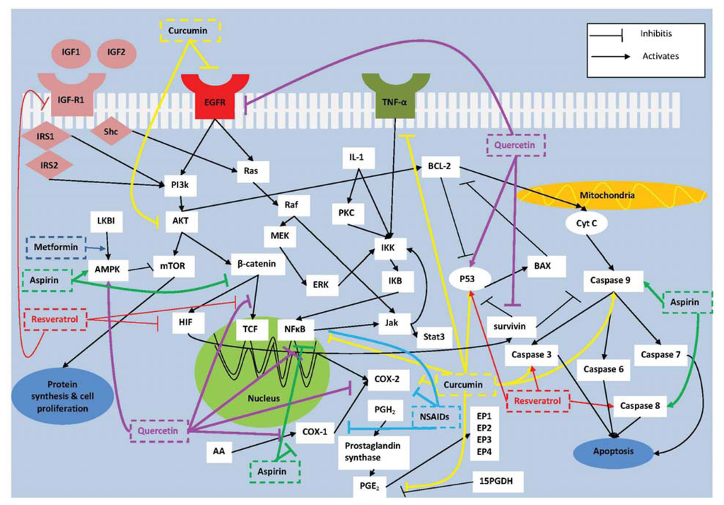 https://www.mdpi.com/ijms/ijms-14-17279/article_deploy/html/images/ijms-14-17279f1-1024.png