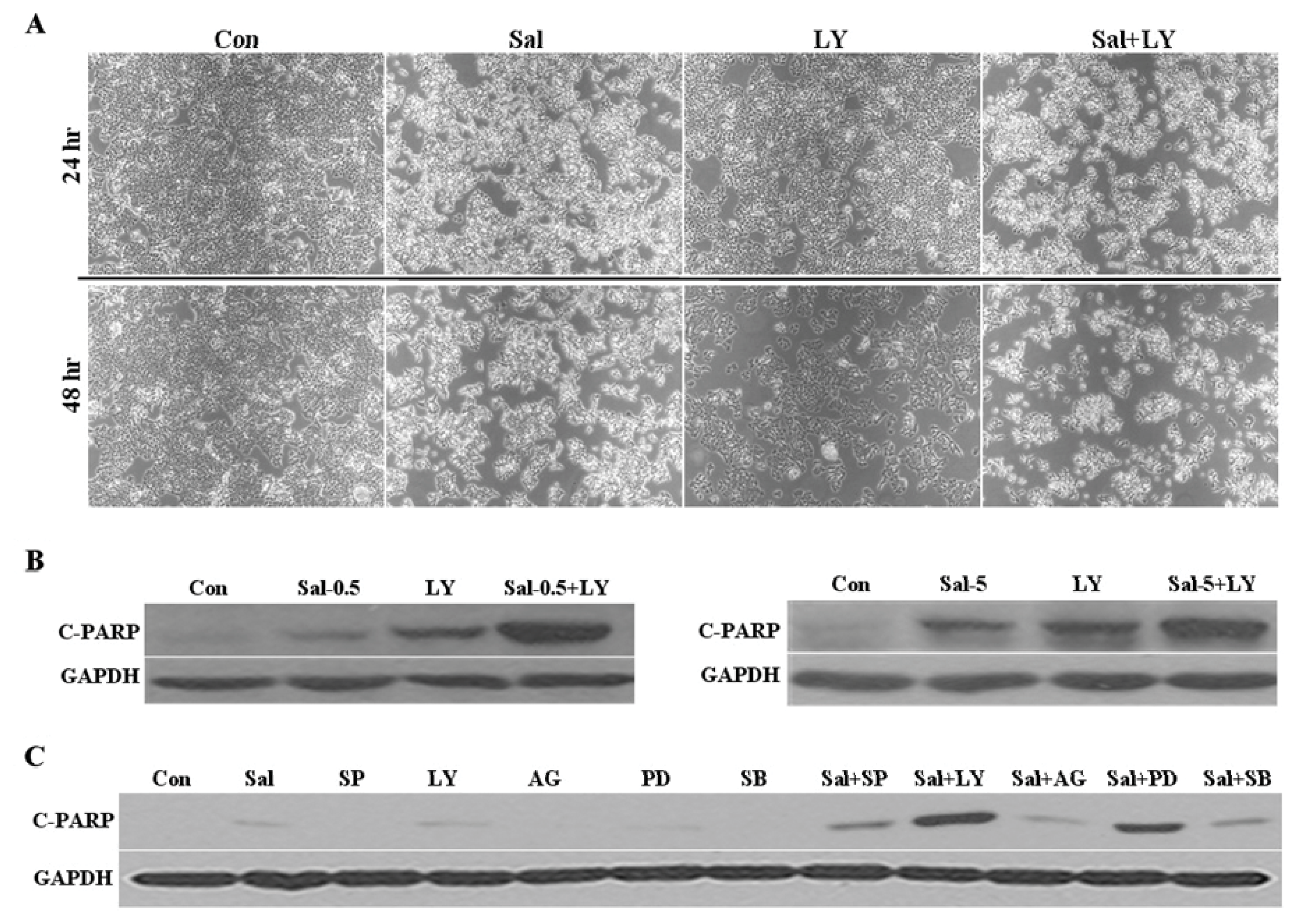 Ijms 14 17304f4 1024