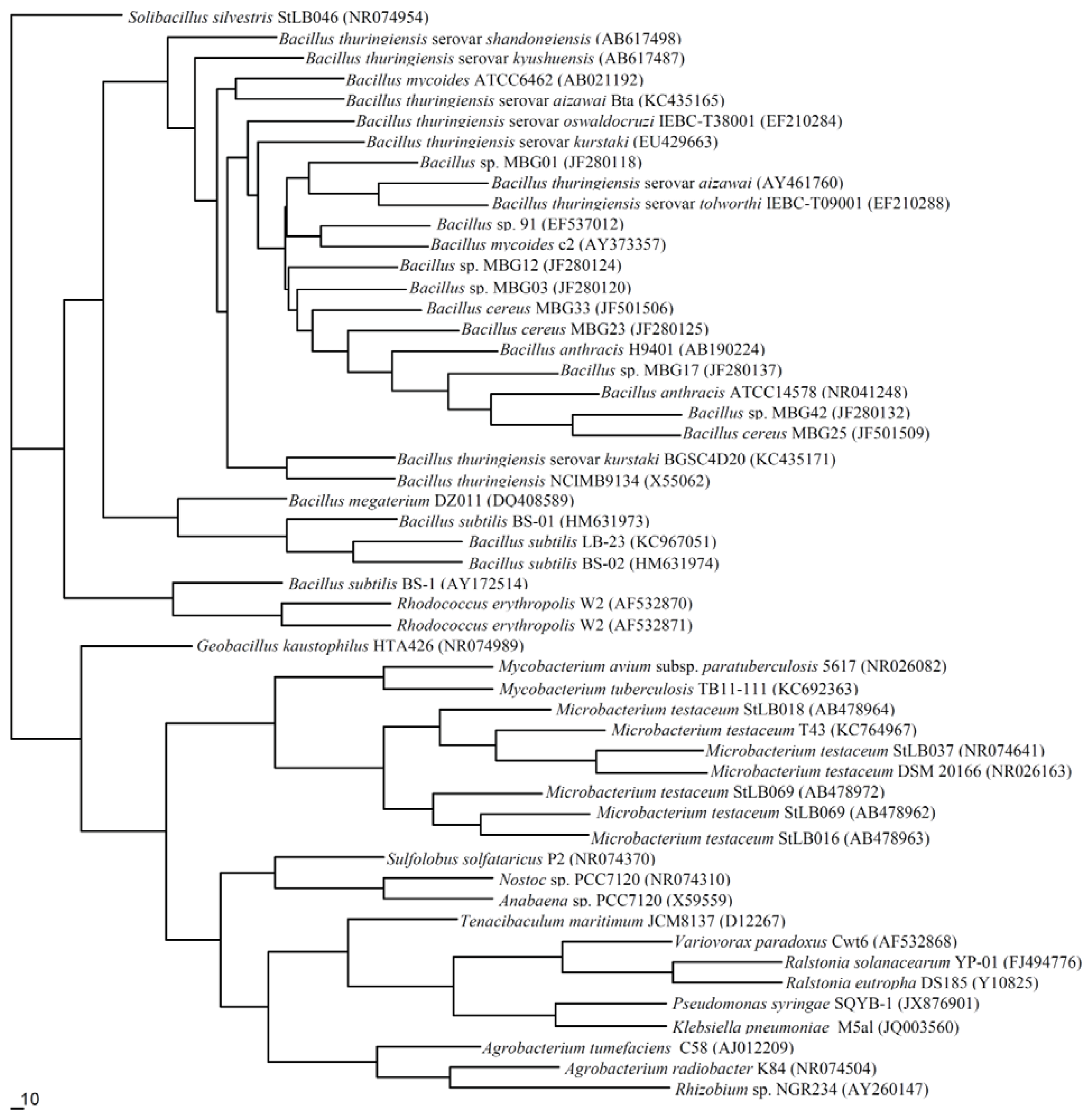 Ijms 14 17477f1 1024