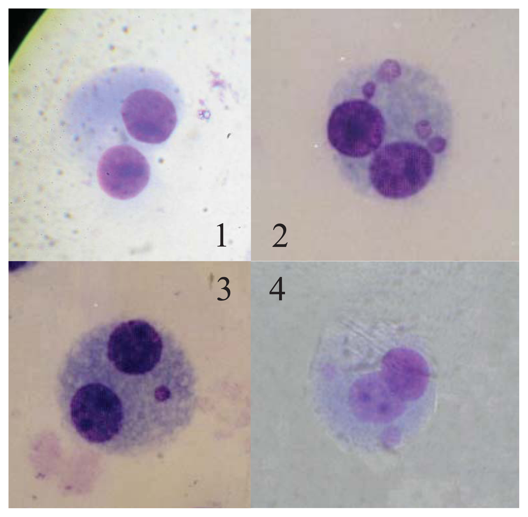 Ijms 14 17525f2
