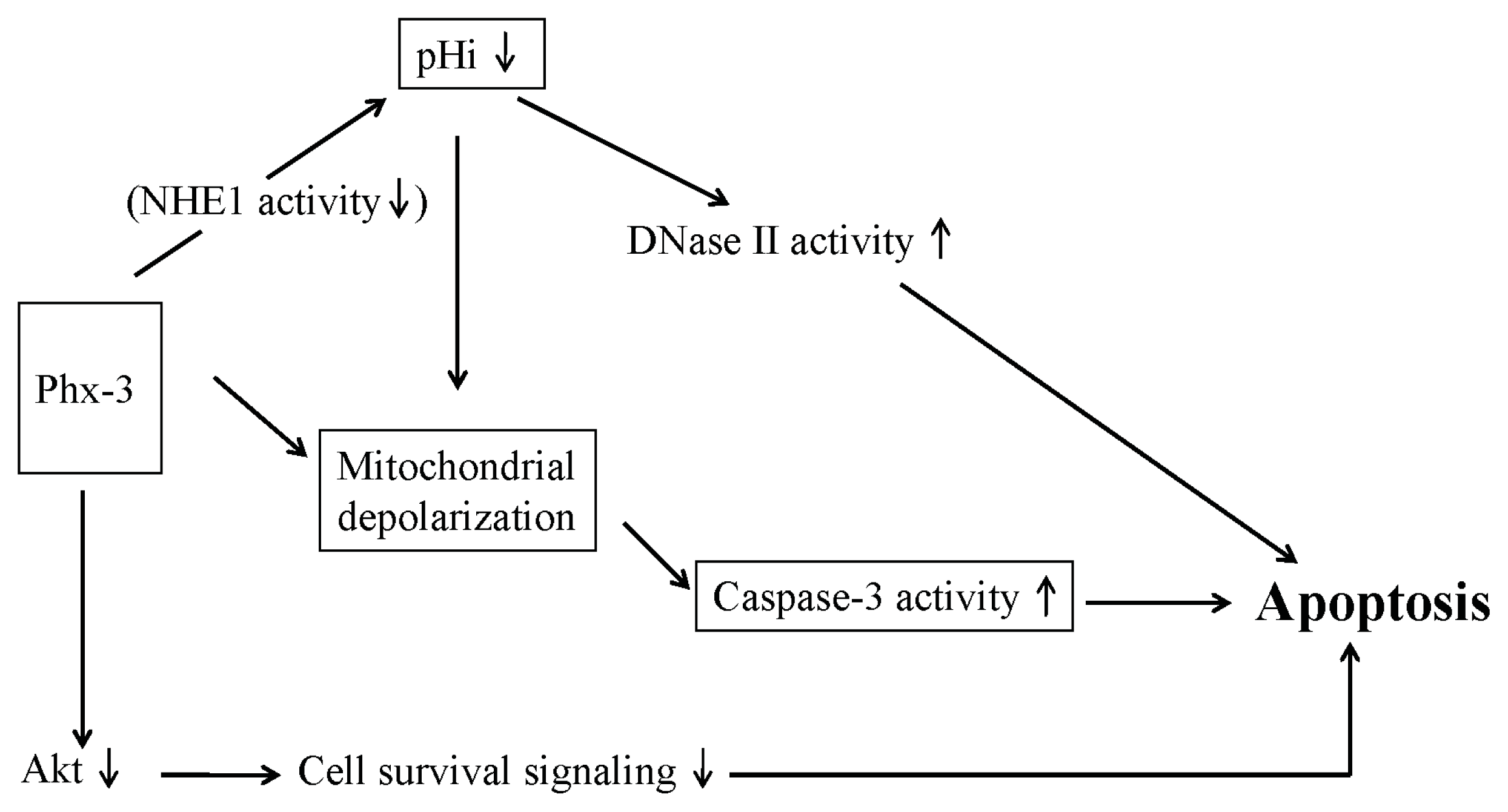 Ijms 14 17573f2 1024