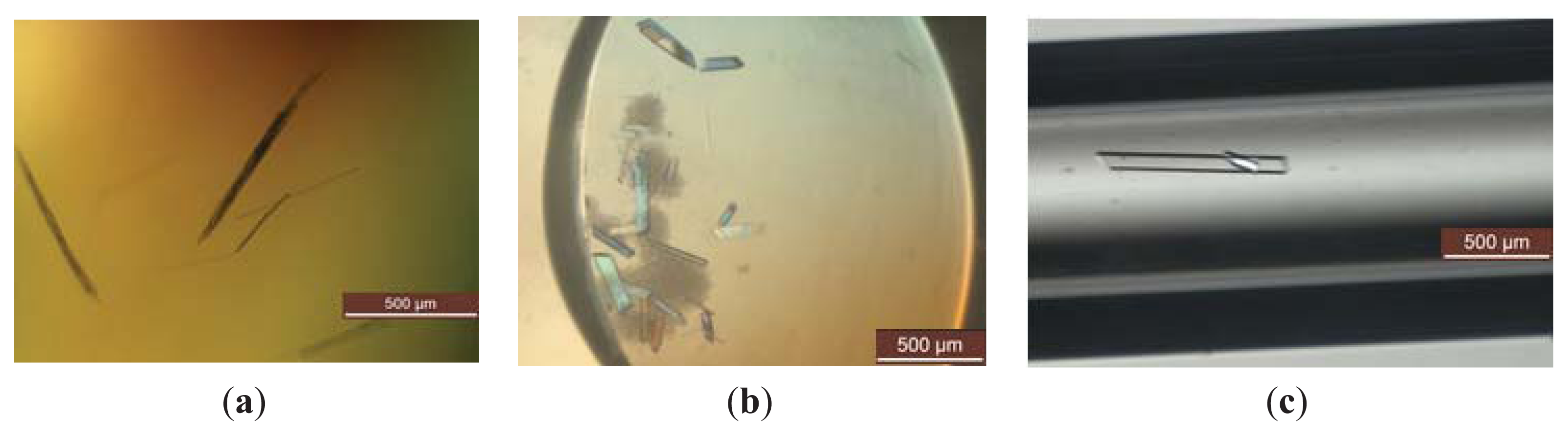 Ijms 14 17608f2 1024