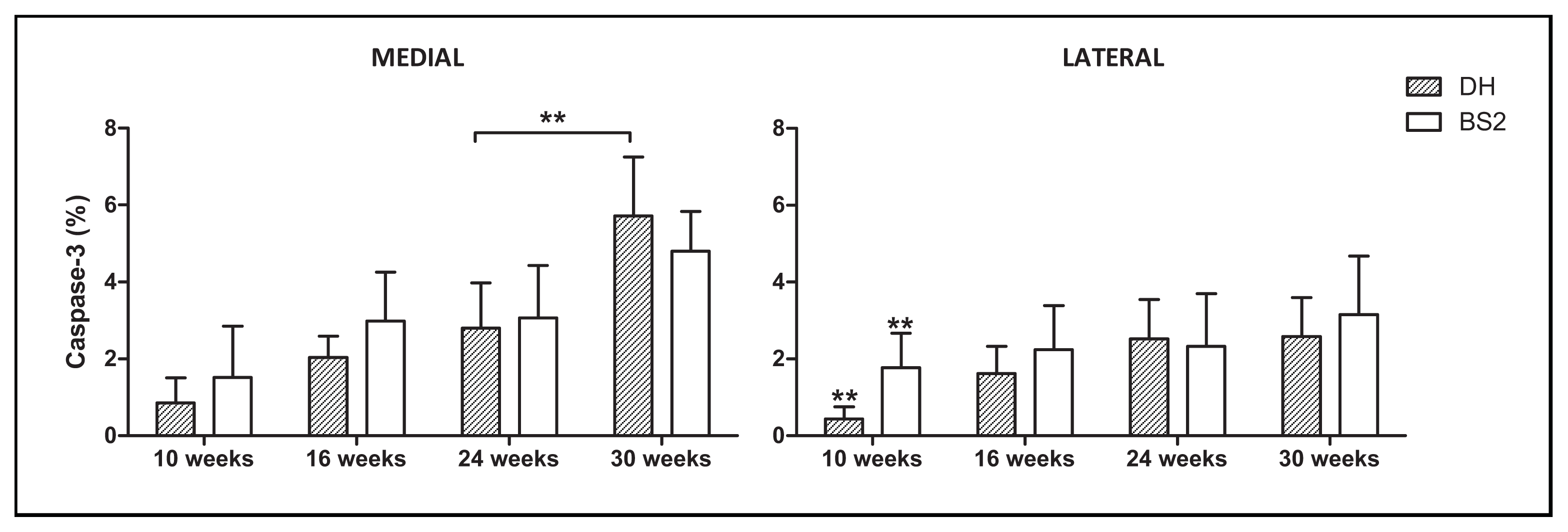 Ijms 14 17729f4 1024