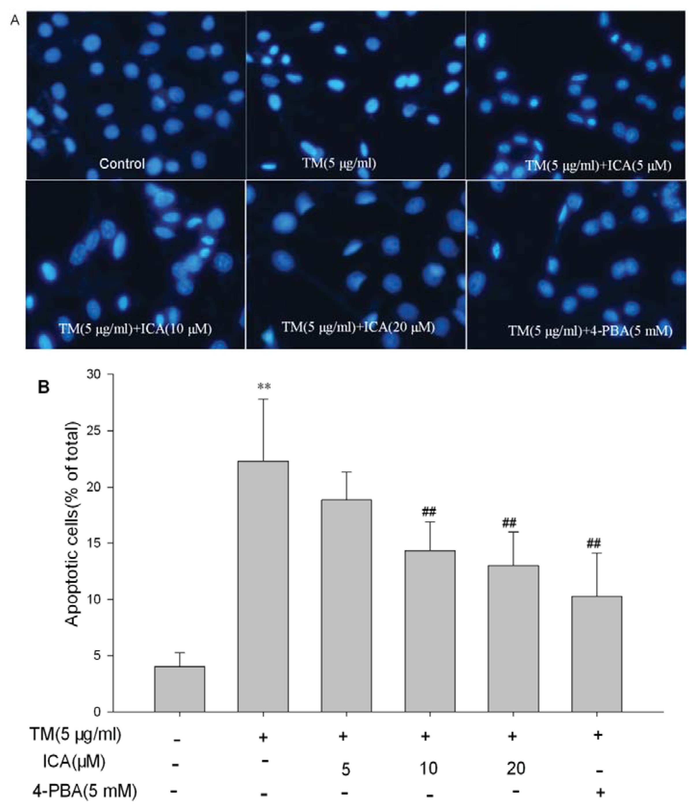 Ijms 14 17845f3 1024