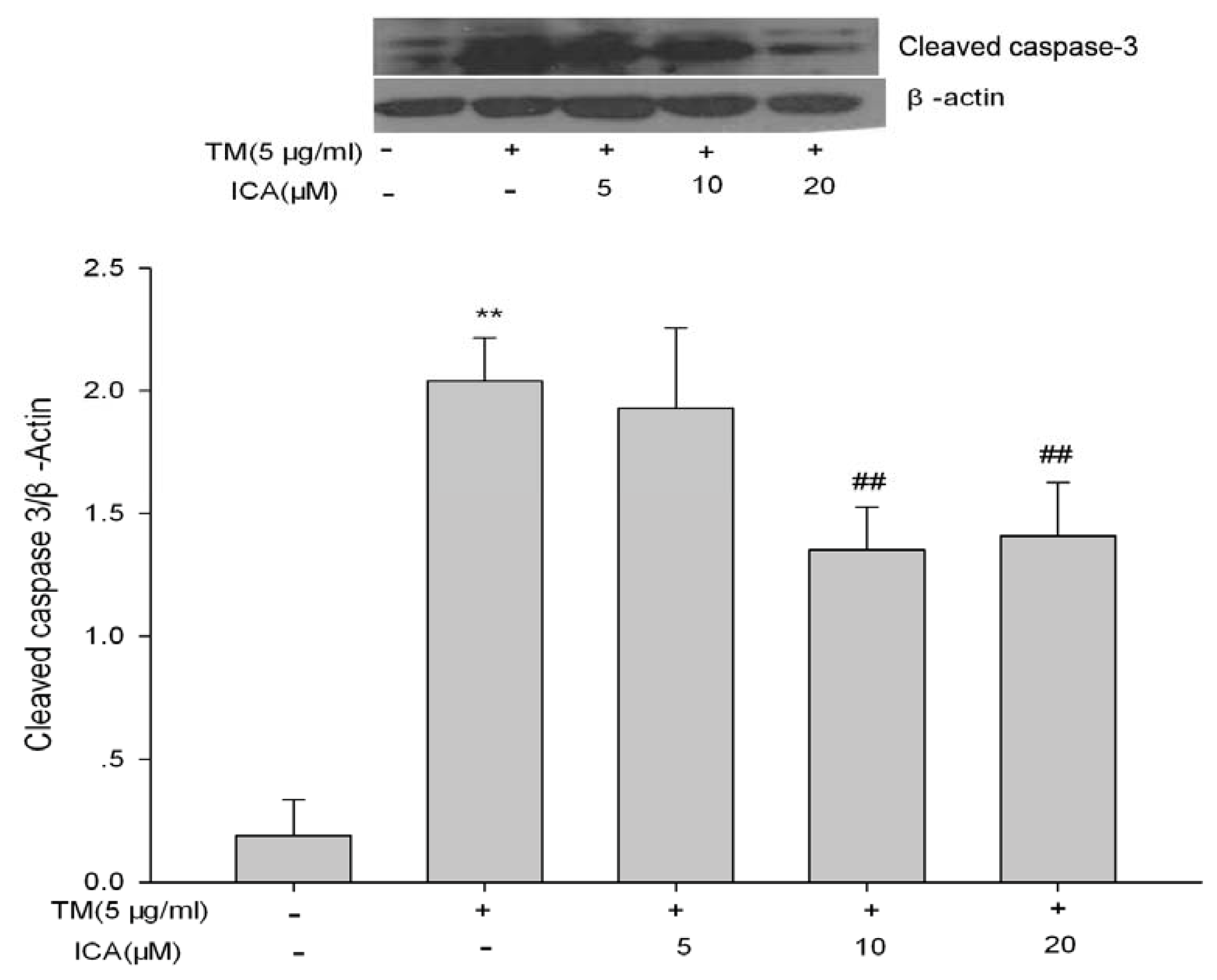 Ijms 14 17845f4 1024