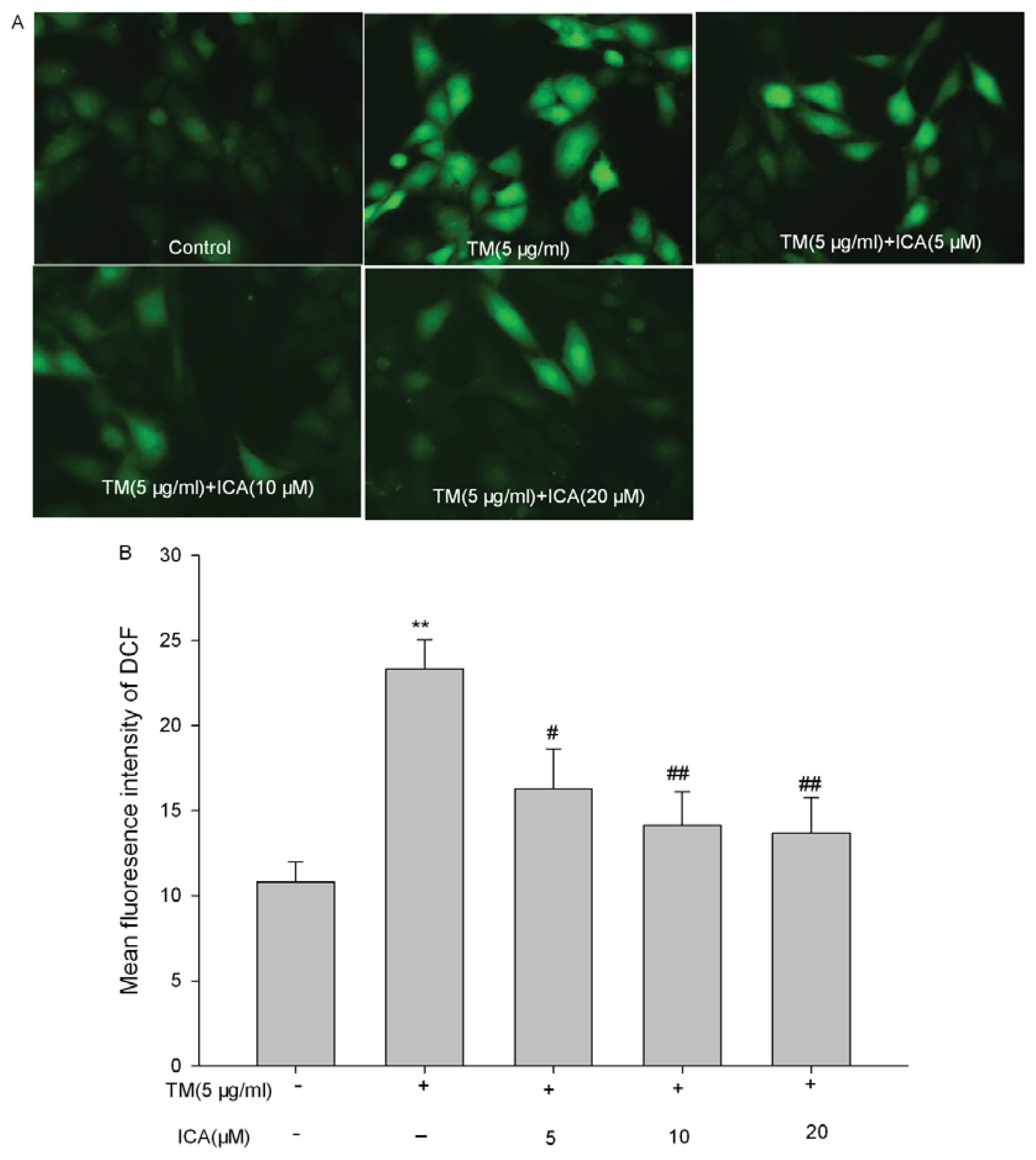 Ijms 14 17845f5 1024