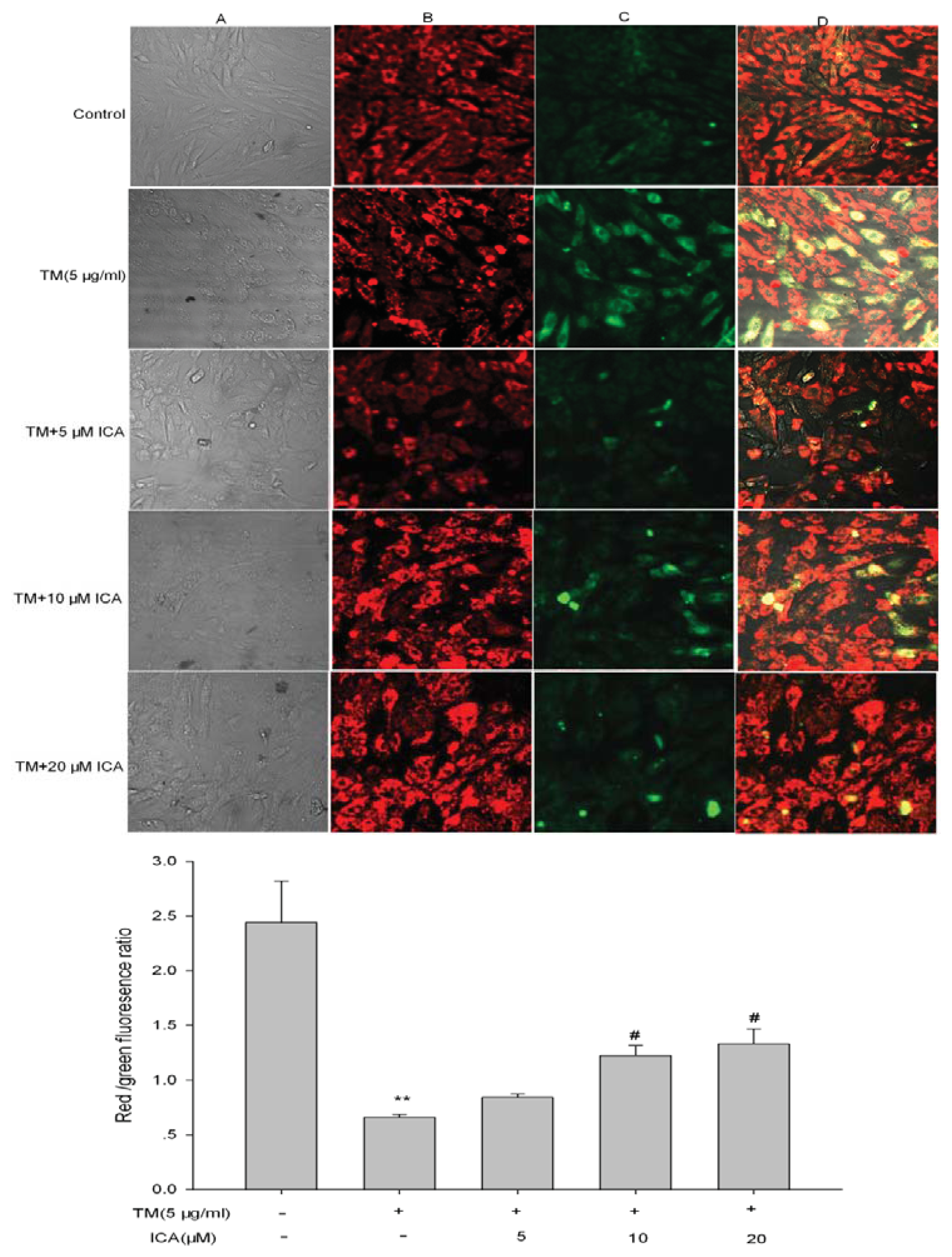 Ijms 14 17845f6 1024