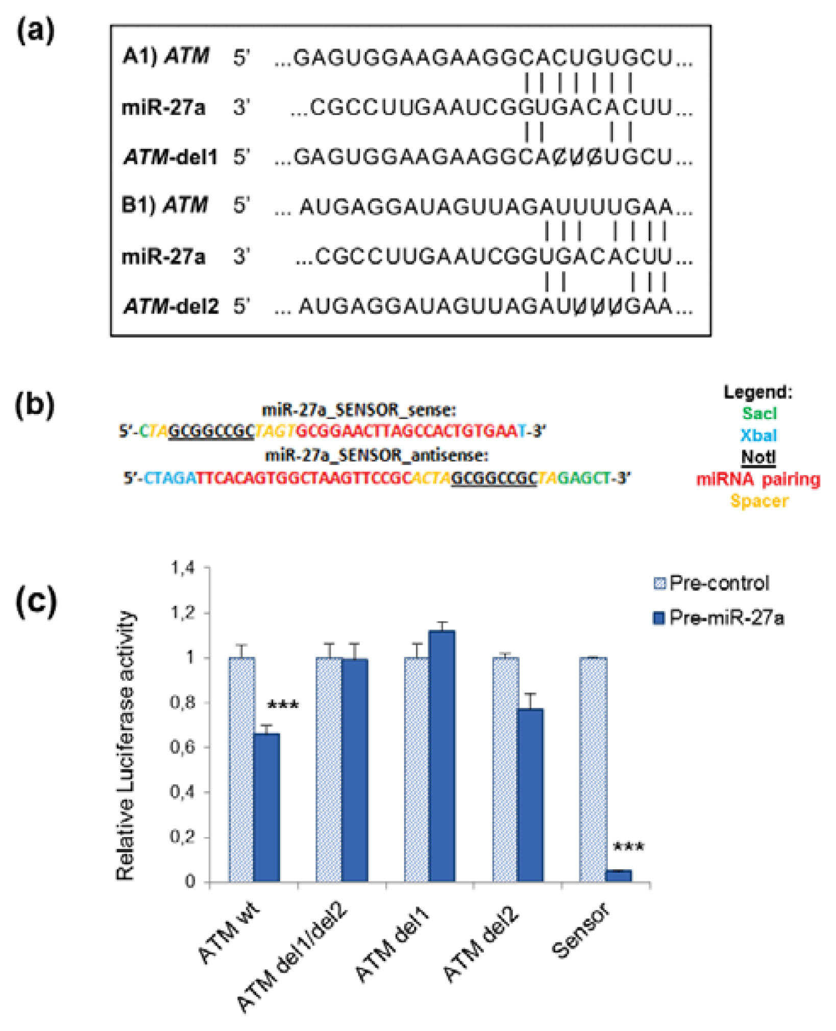 Ijms 14 17881f1 1024