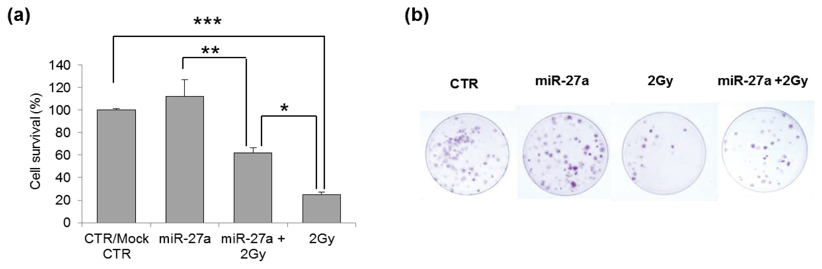 Ijms 14 17881f4 1024