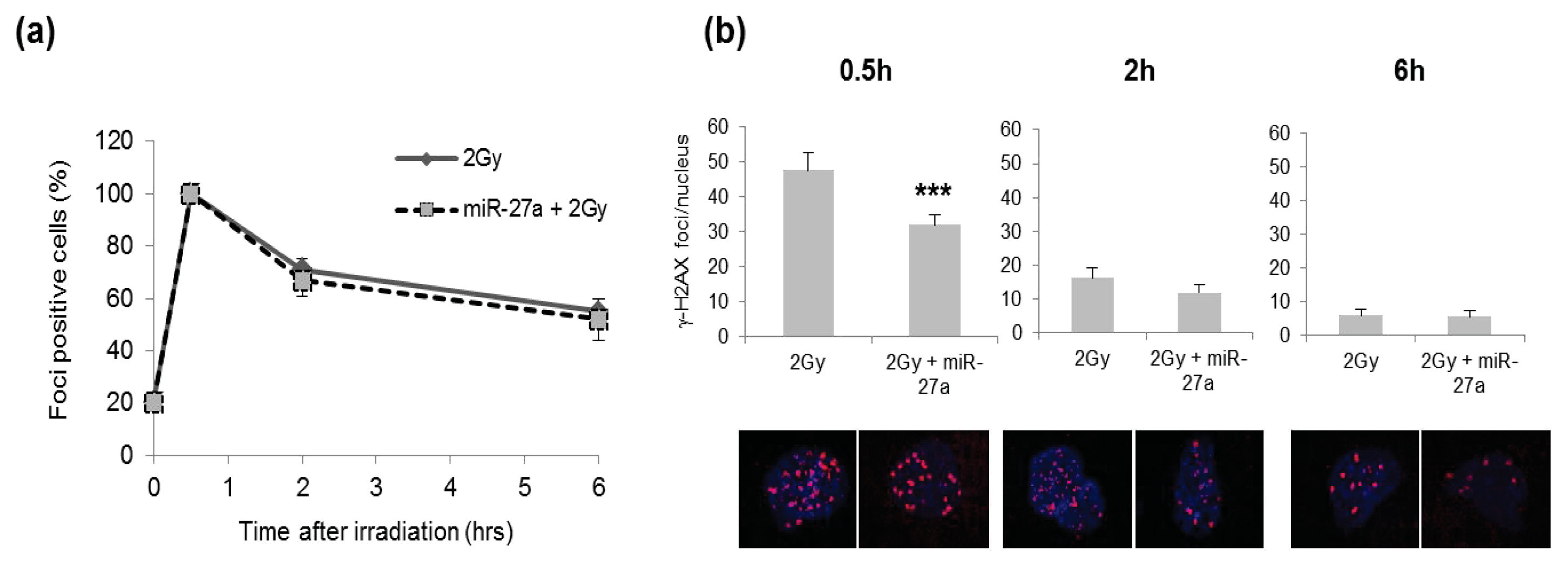 Ijms 14 17881f6 1024
