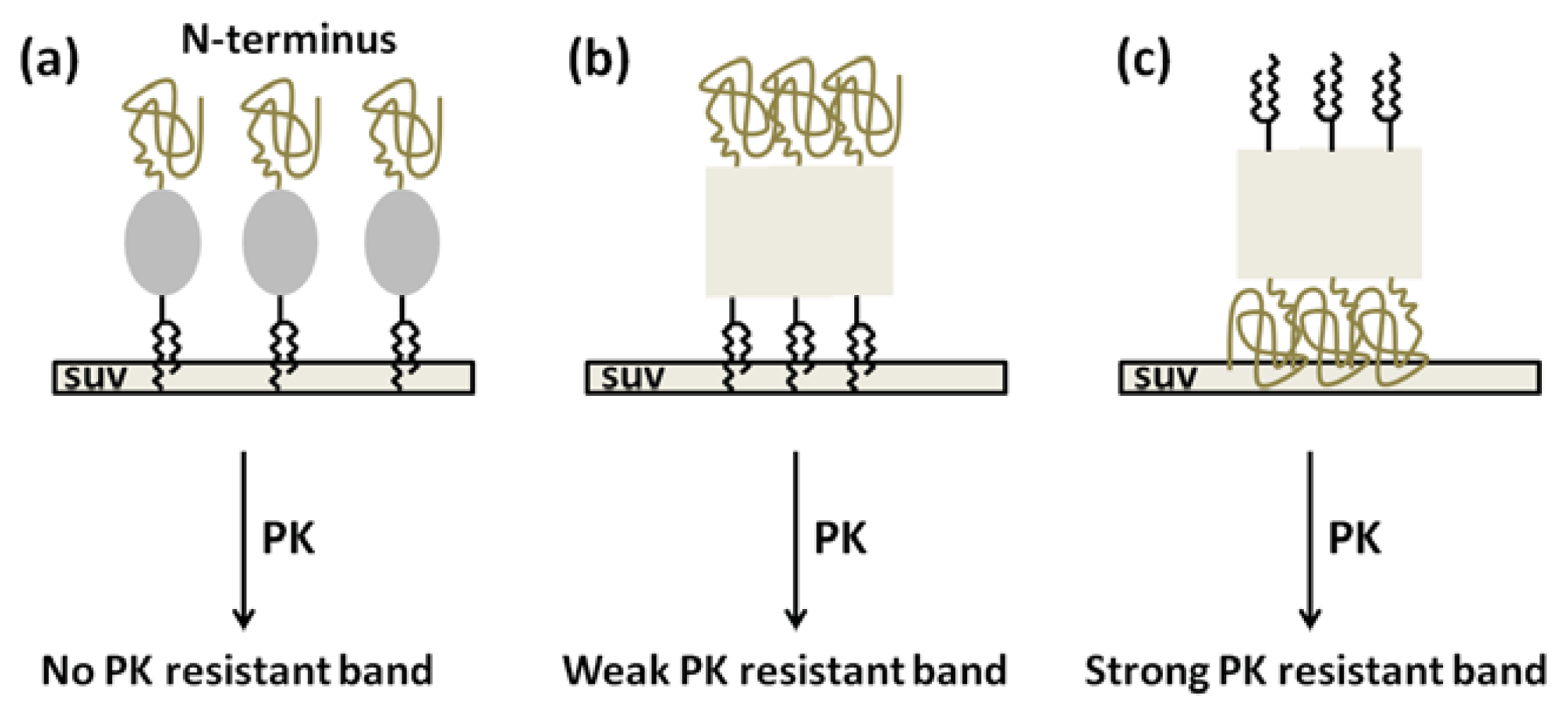Ijms 14 17943f7 1024