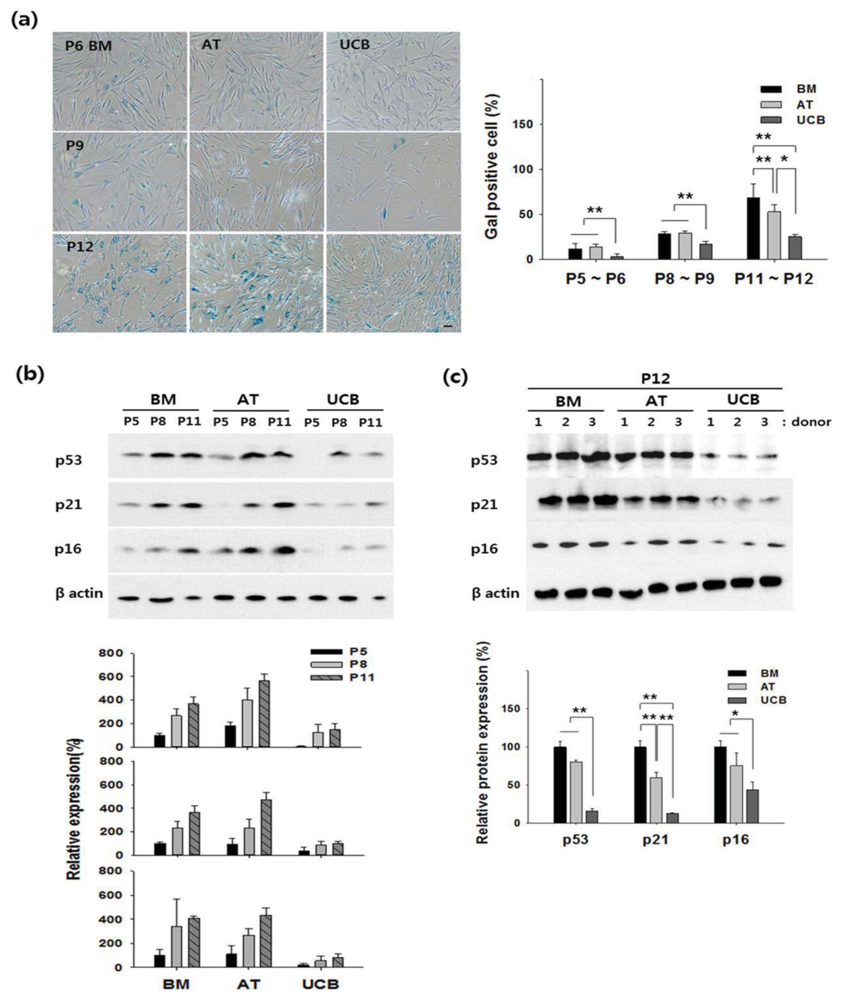 Ijms 14 17986f3 1024