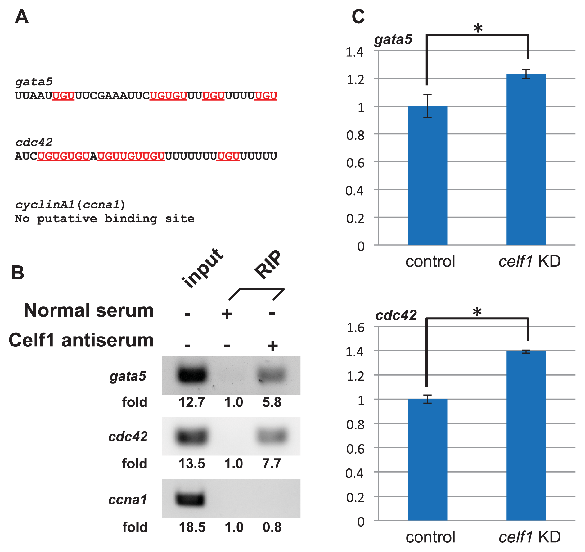 Ijms 14 18009f5 1024