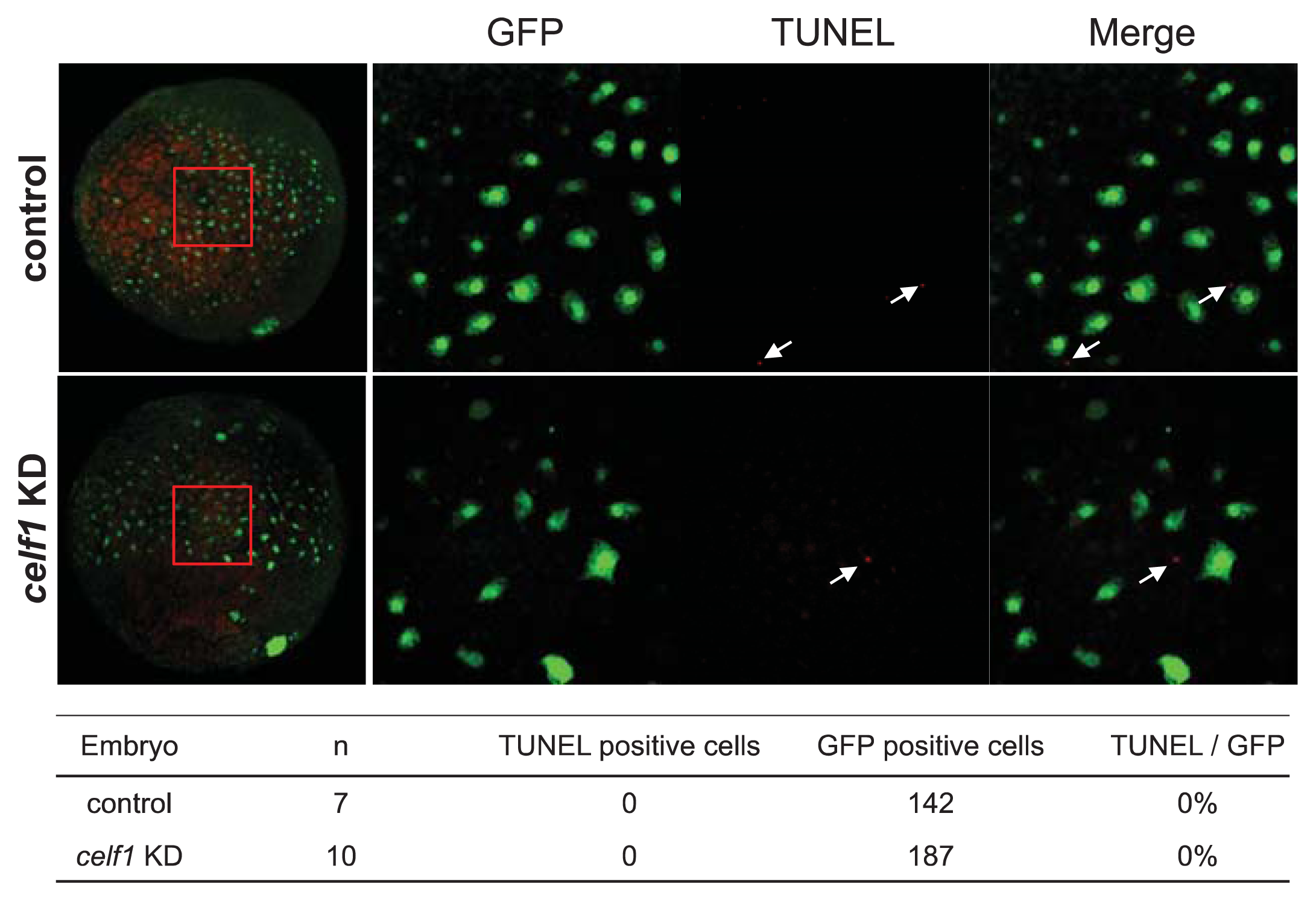 Ijms 14 18009f7 1024