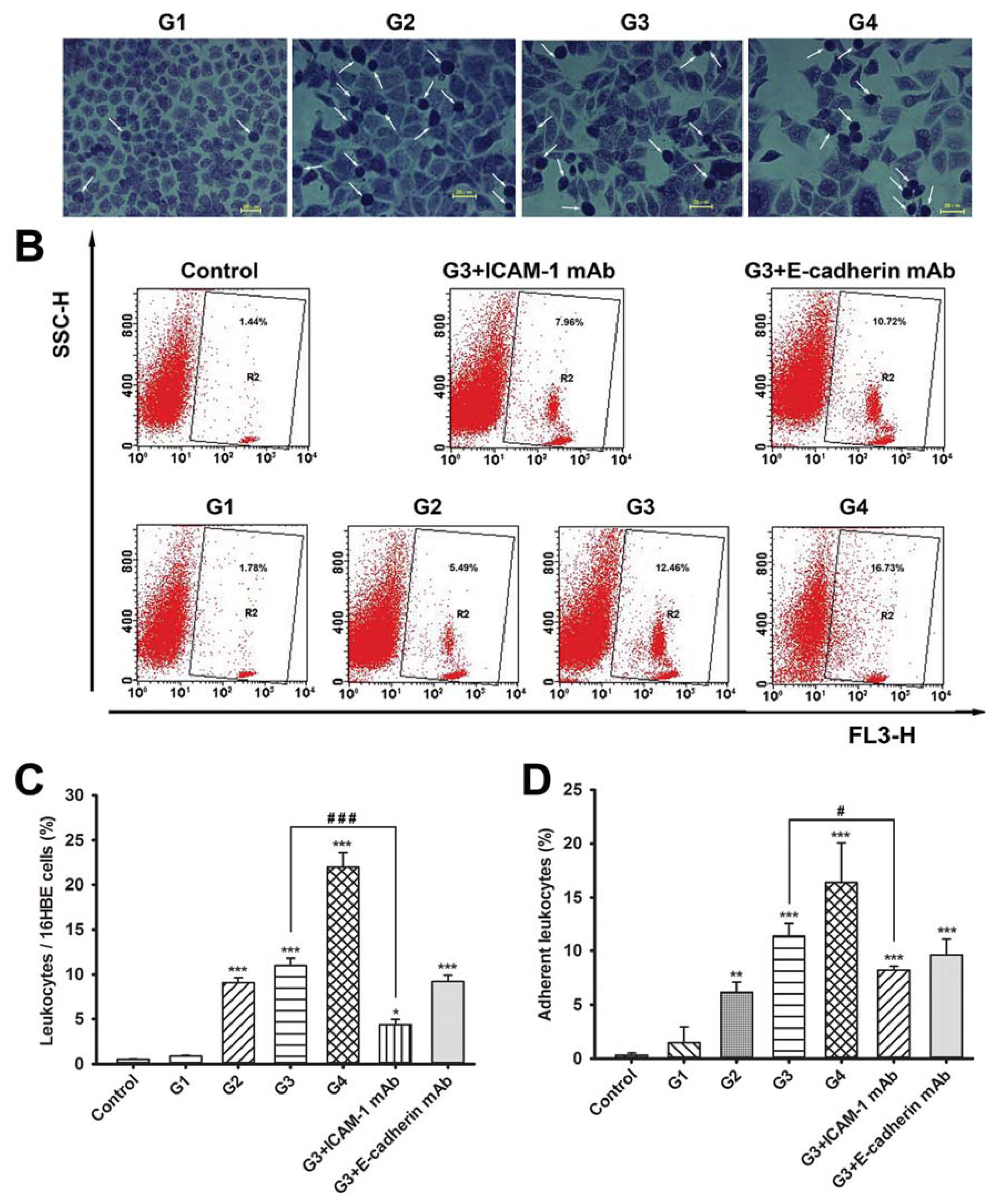 Ijms 14 18024f2b 1024