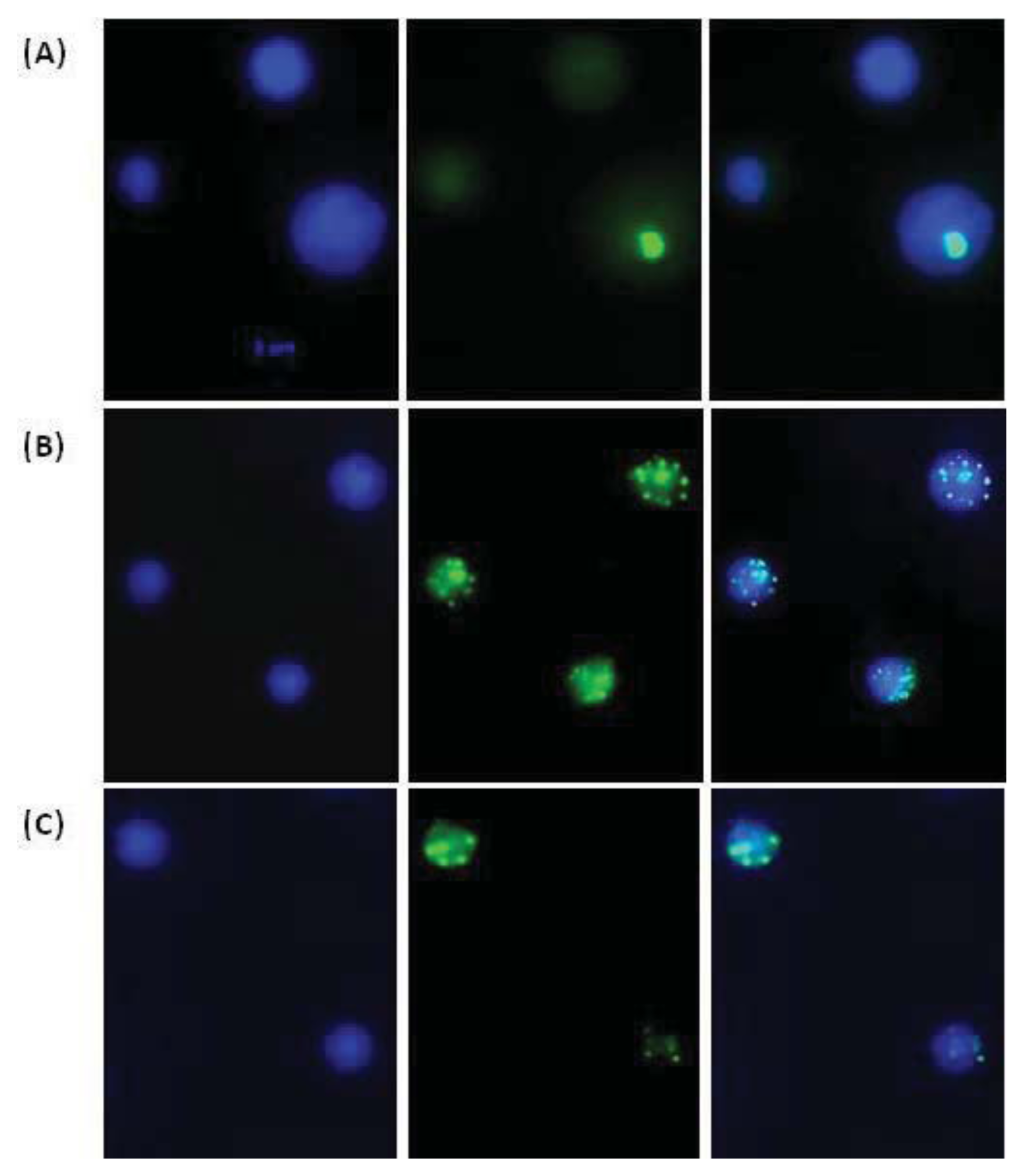 Ijms 14 18078f6 1024