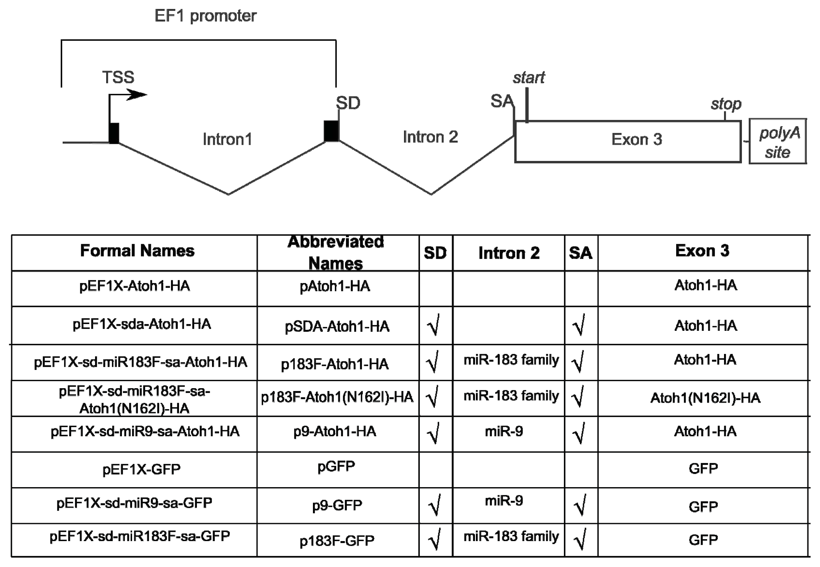 Ijms 14 18239f2 1024