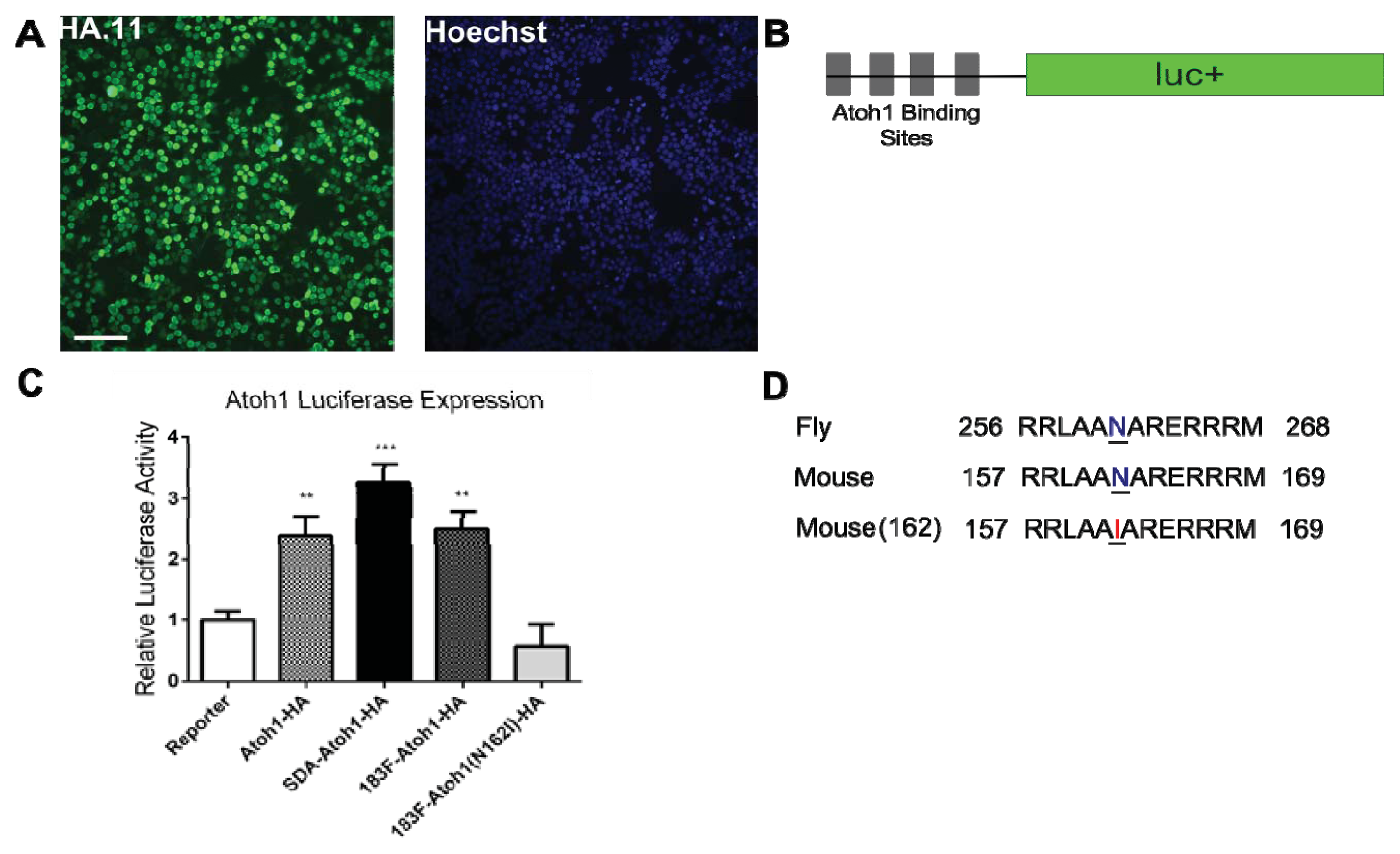 Ijms 14 18239f3 1024