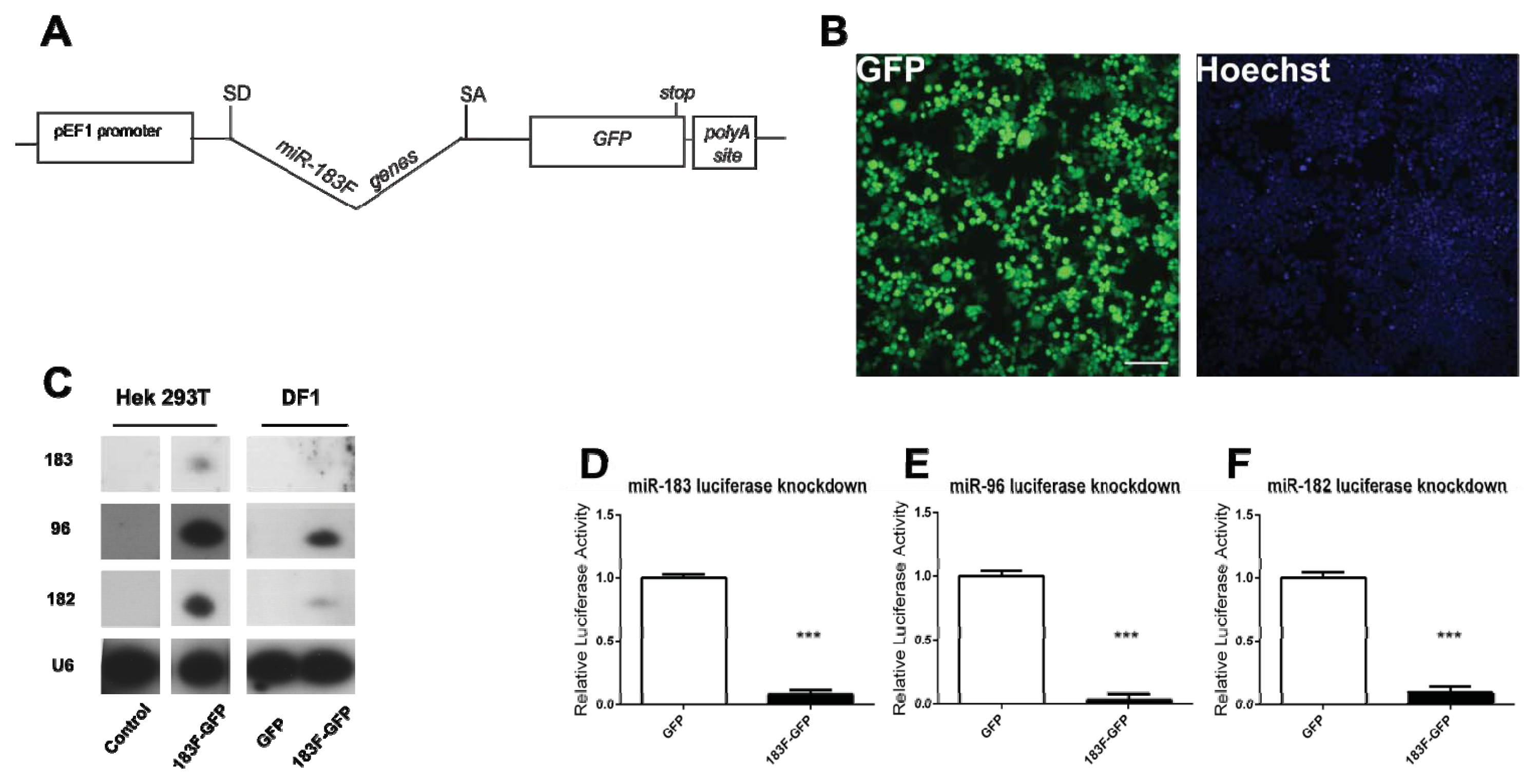 Ijms 14 18239f5 1024