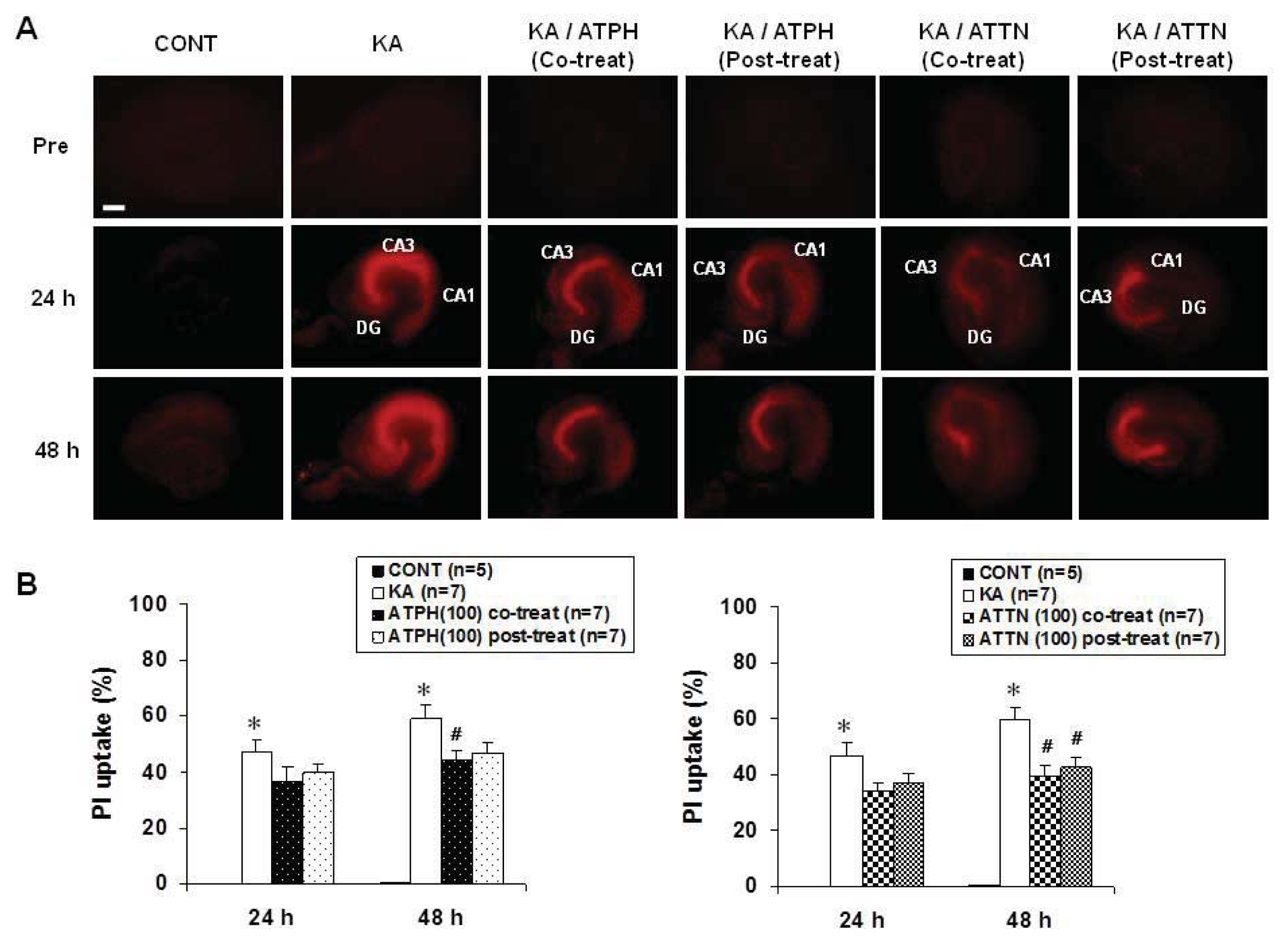 Ijms 14 18256f1 1024