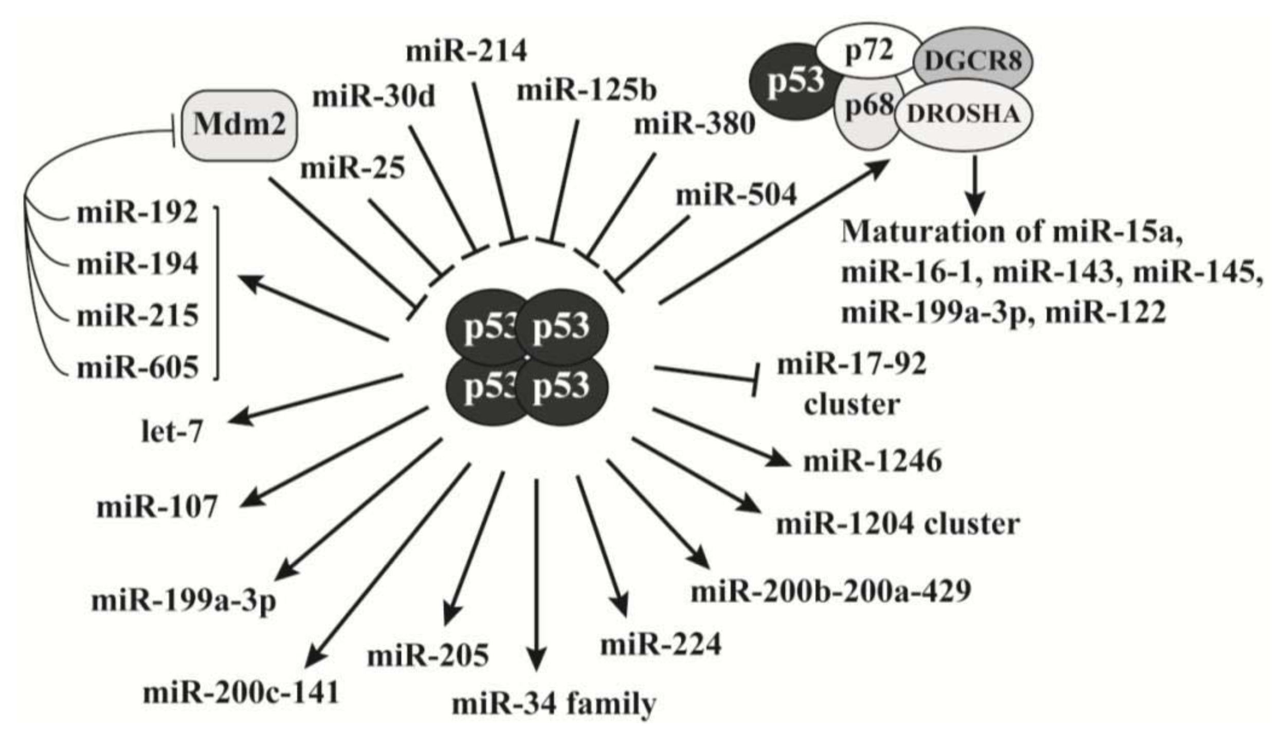 Ijms 14 18319f2