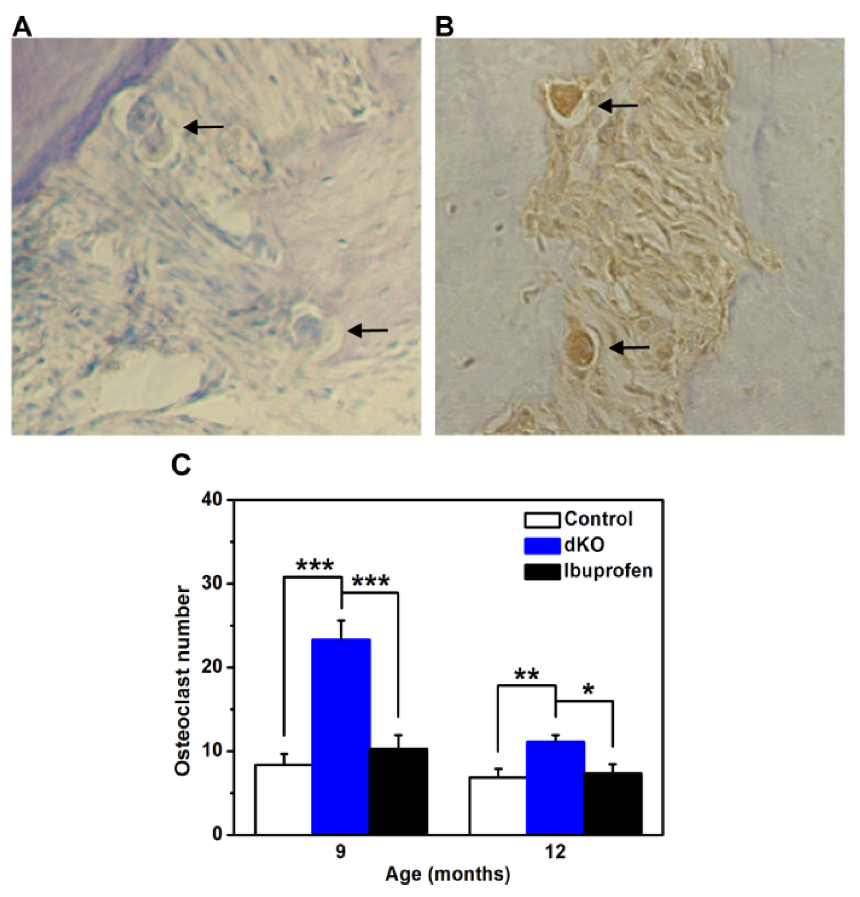 Ijms 14 18457f2 1024