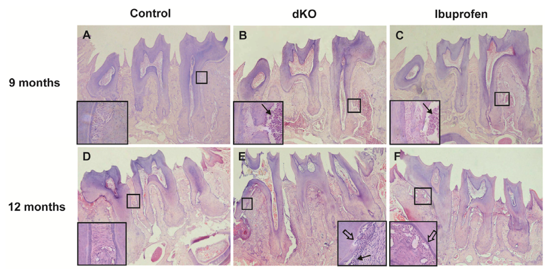 Ijms 14 18457f3 1024
