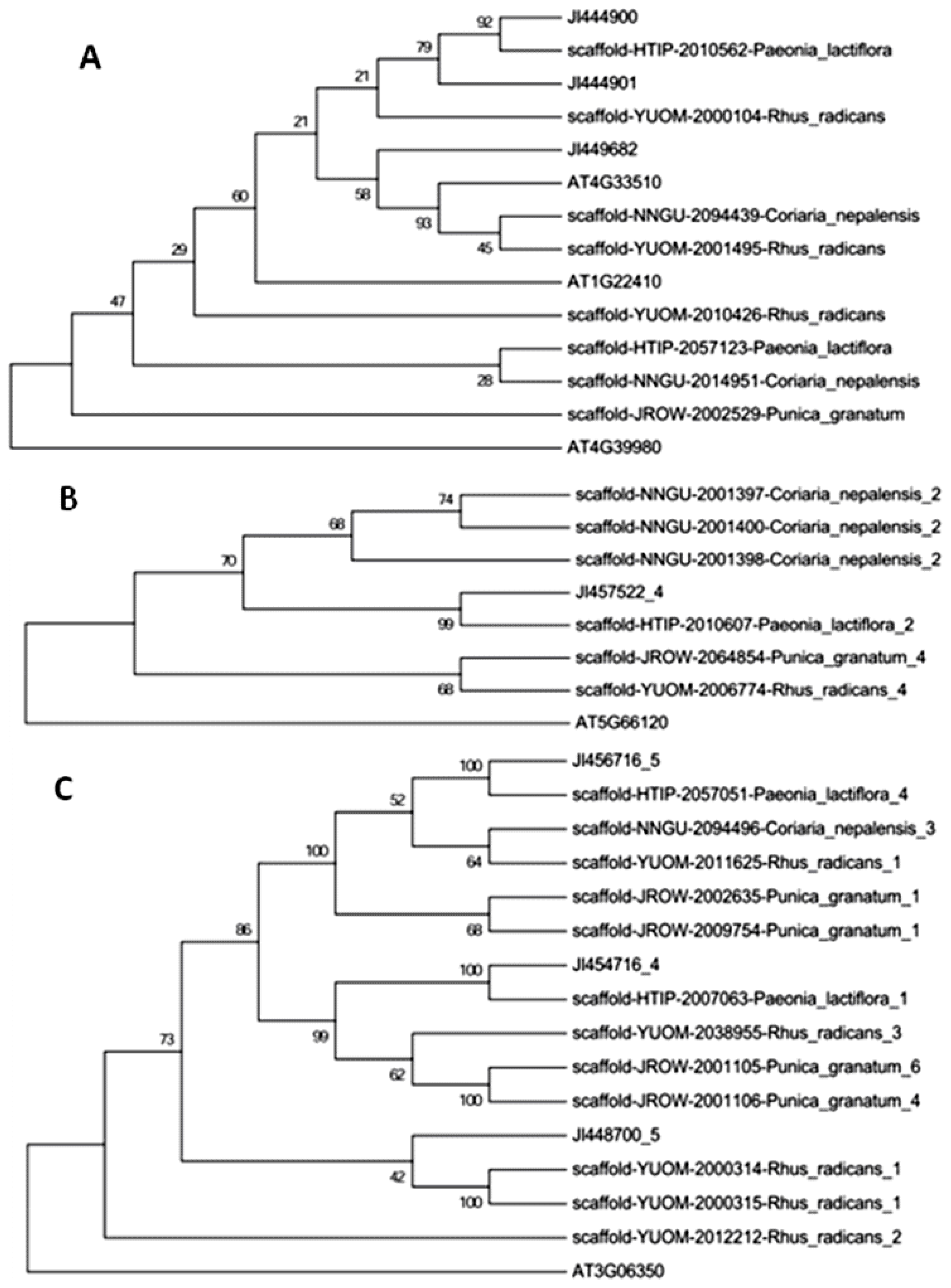 Ijms 14 18502f2 1024